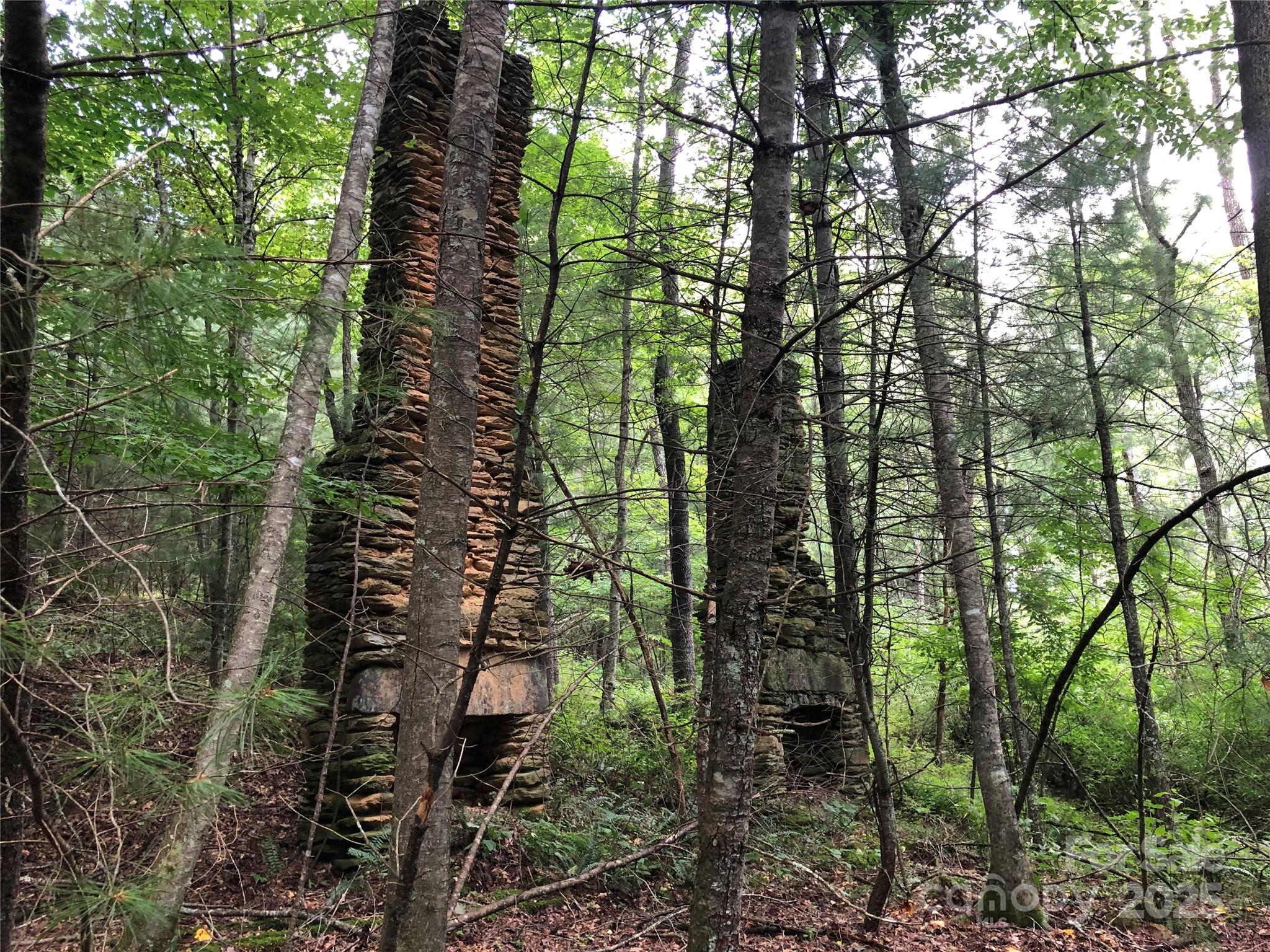 Tbd Maines Hill Lane Property Photo 45