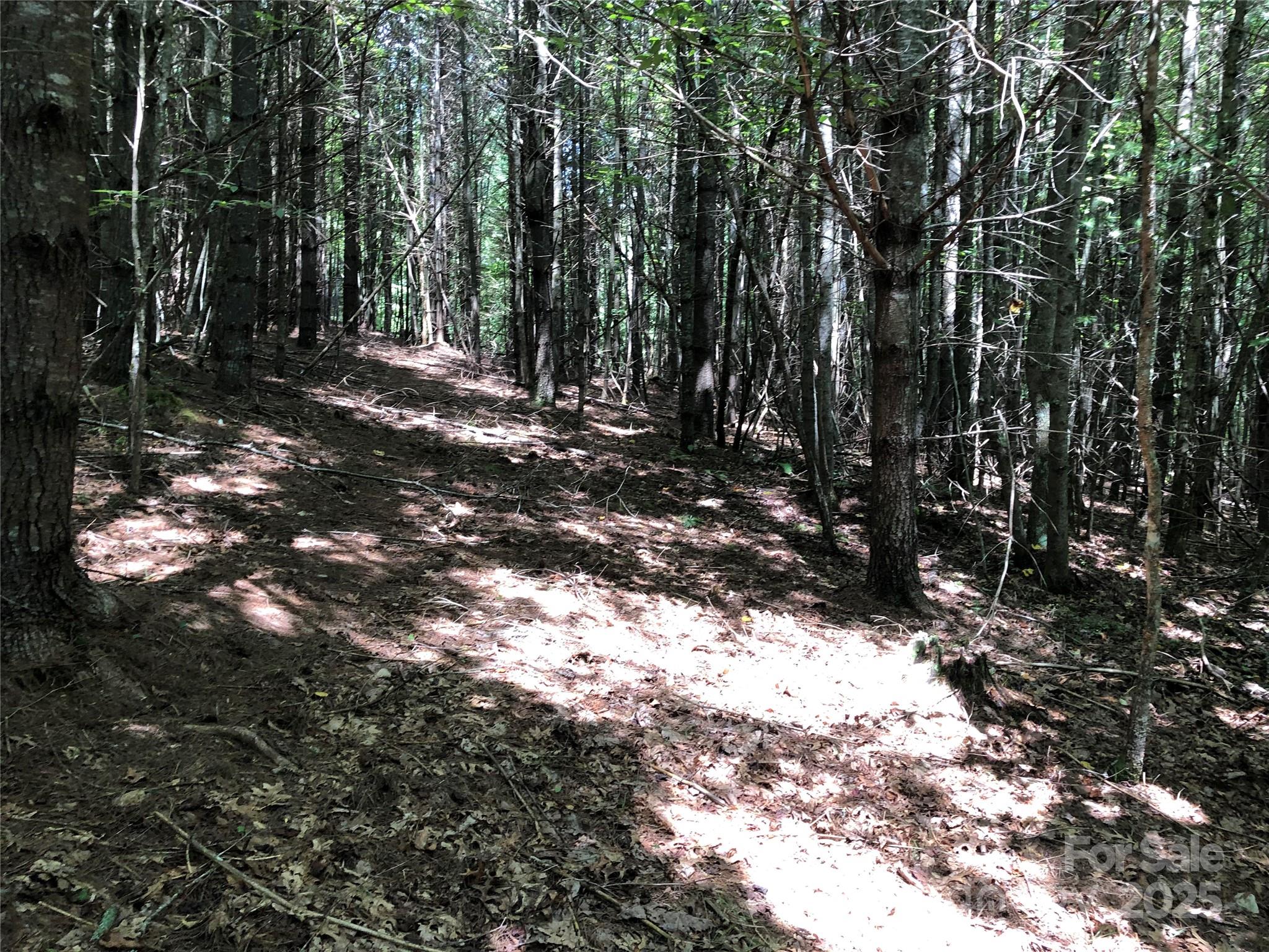 Tbd Maines Hill Lane Property Photo 46