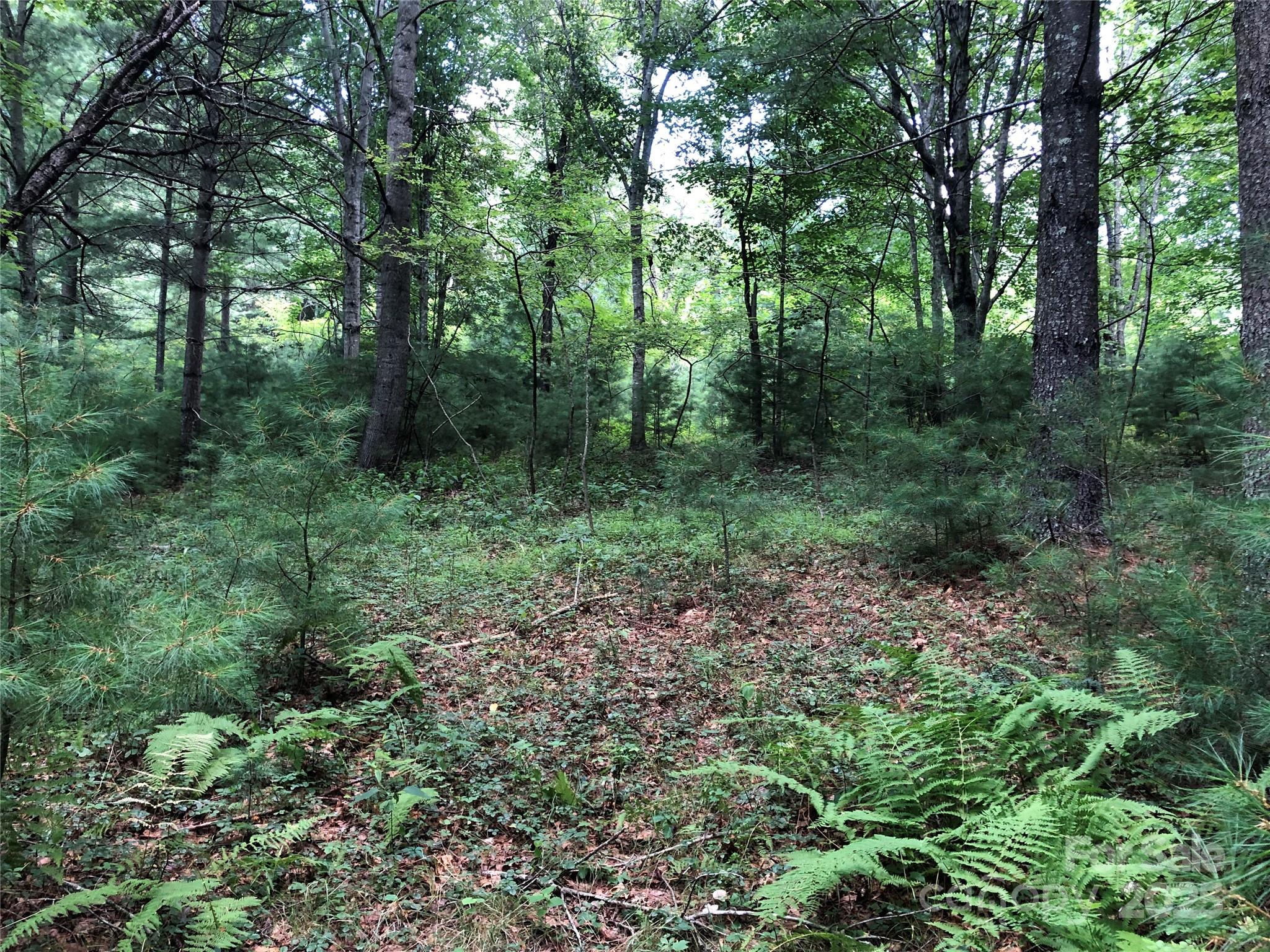 Tbd Maines Hill Lane Property Photo 47