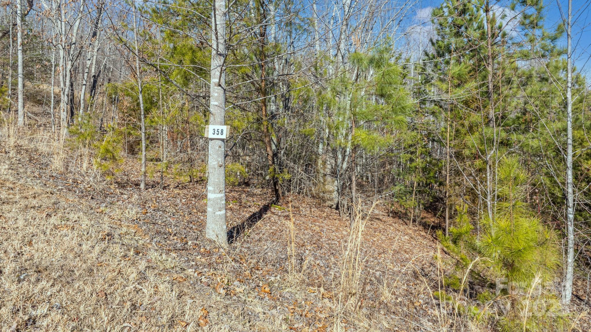 Tbd Coal Pit Mountain Road Property Photo 1