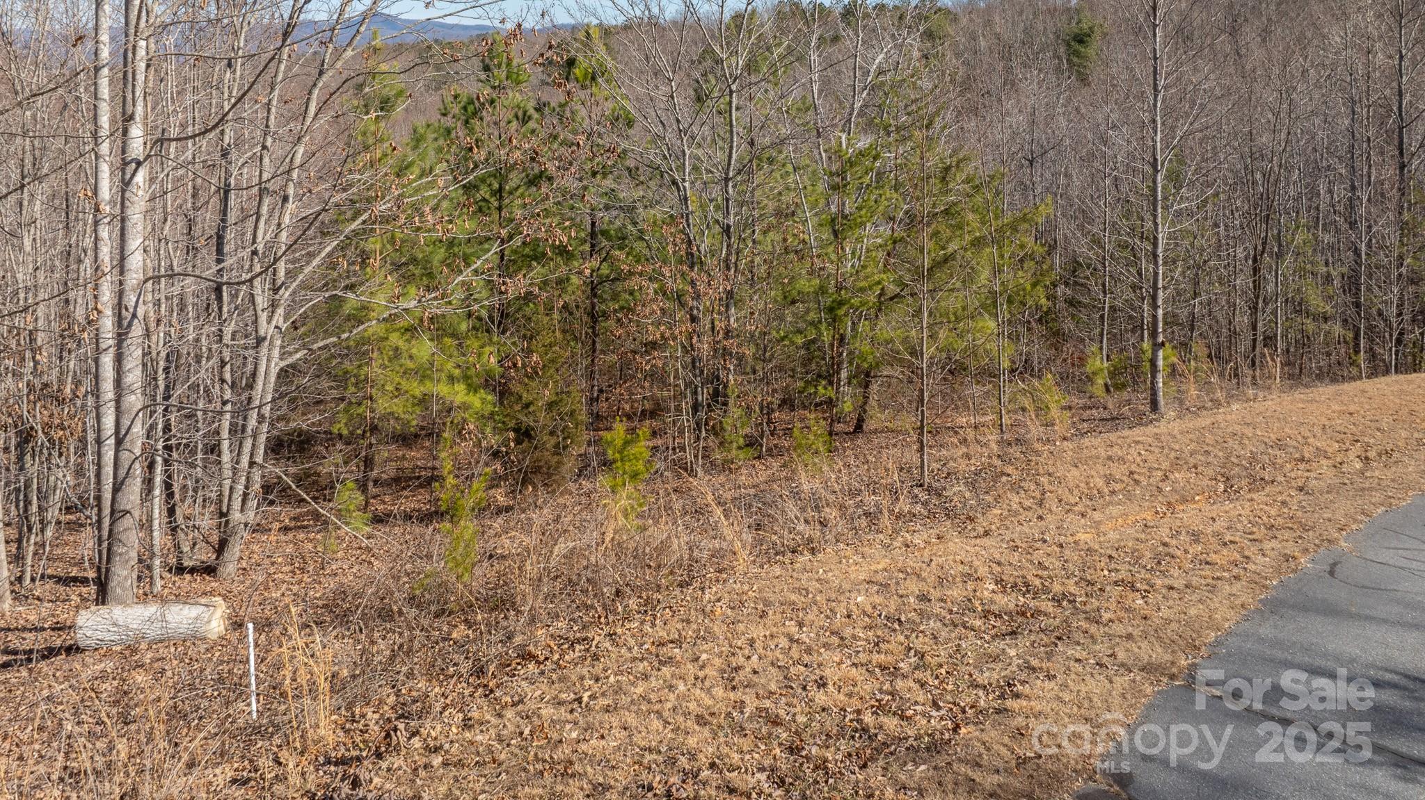 Tbd Coal Pit Mountain Road Property Photo 2