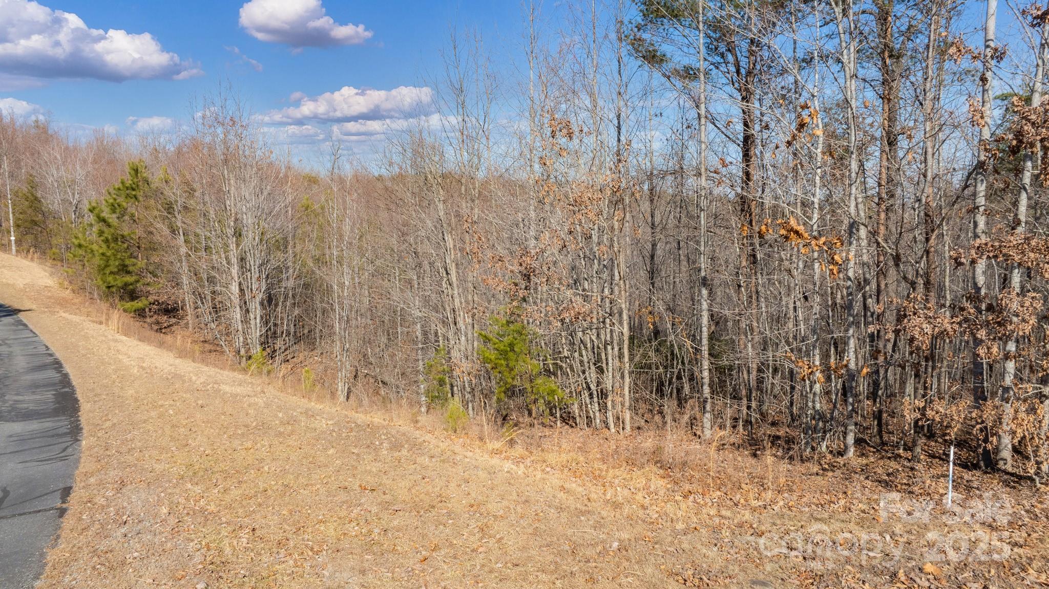Tbd Coal Pit Mountain Road Property Photo 3