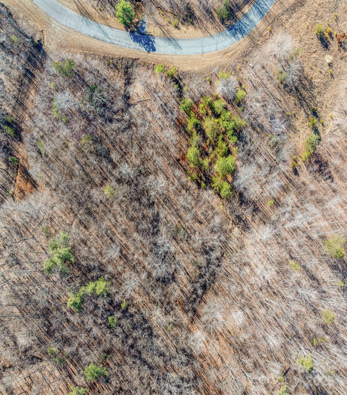 Tbd Coal Pit Mountain Road Property Photo 4