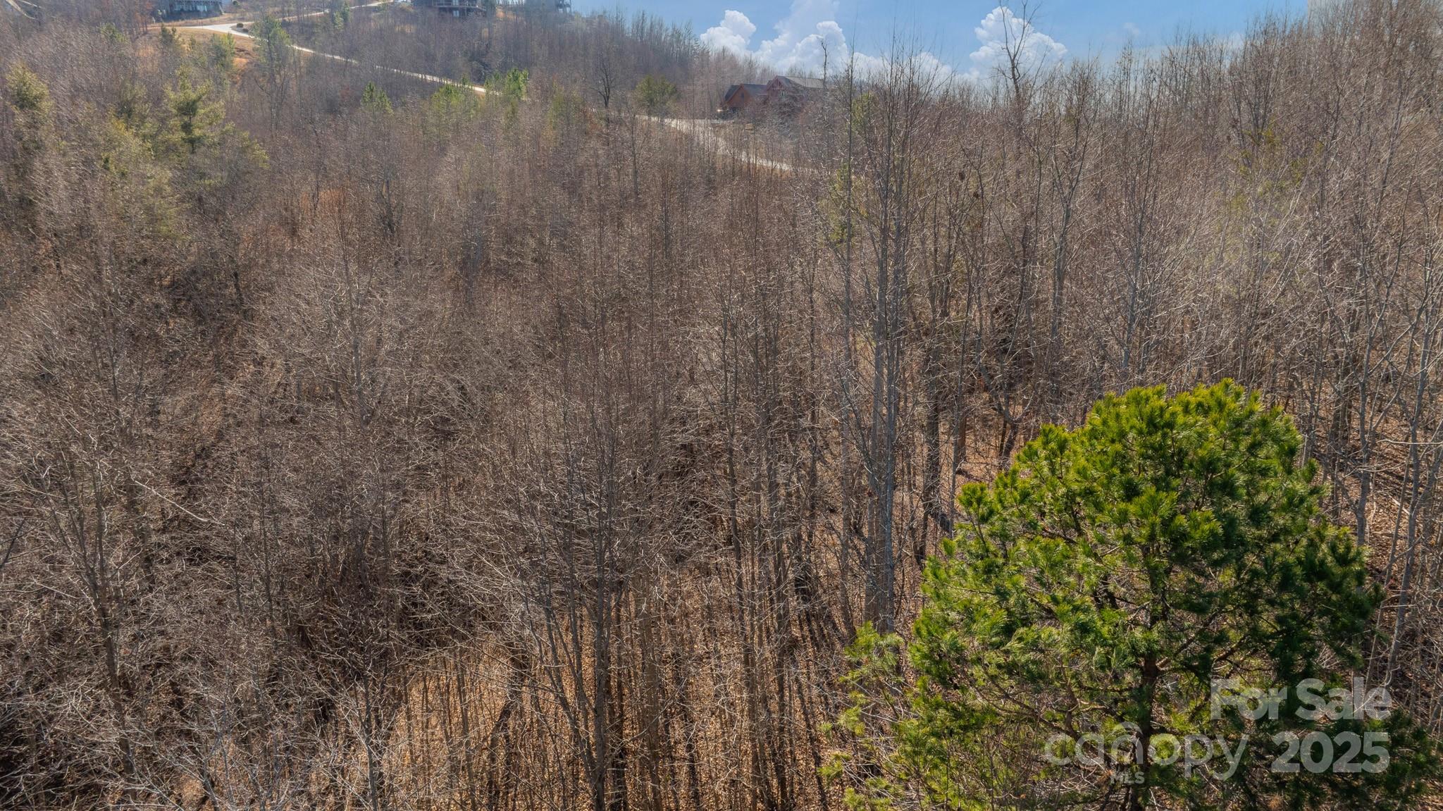 Tbd Coal Pit Mountain Road Property Photo 5