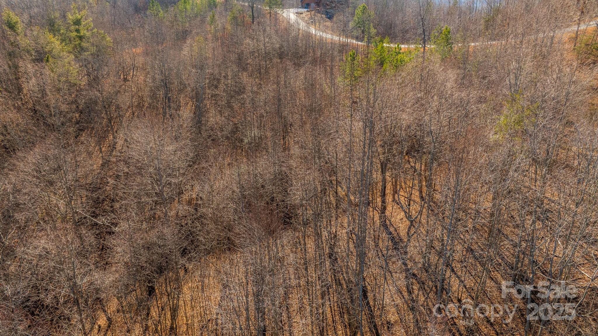 Tbd Coal Pit Mountain Road Property Photo 6