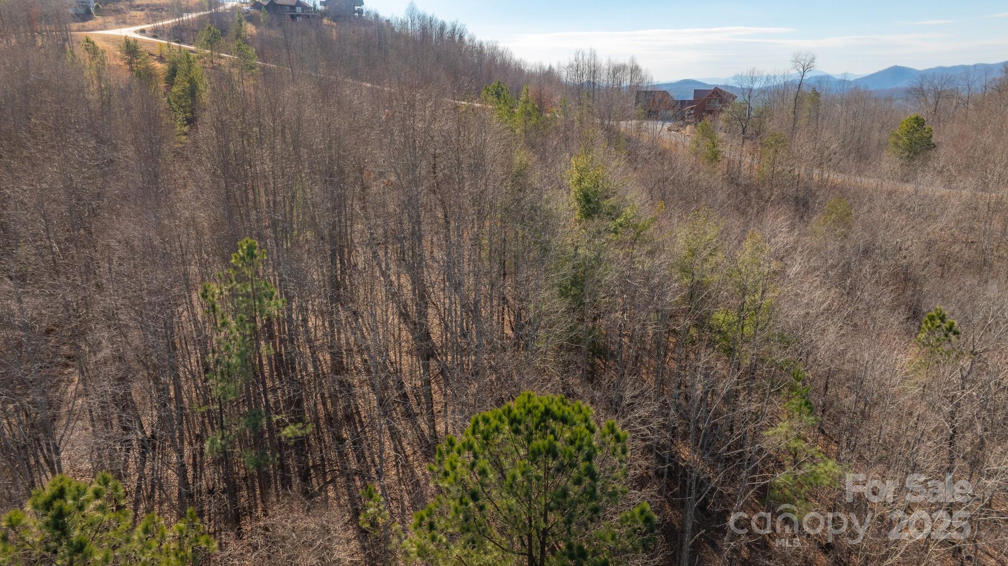 Tbd Coal Pit Mountain Road Property Photo 7