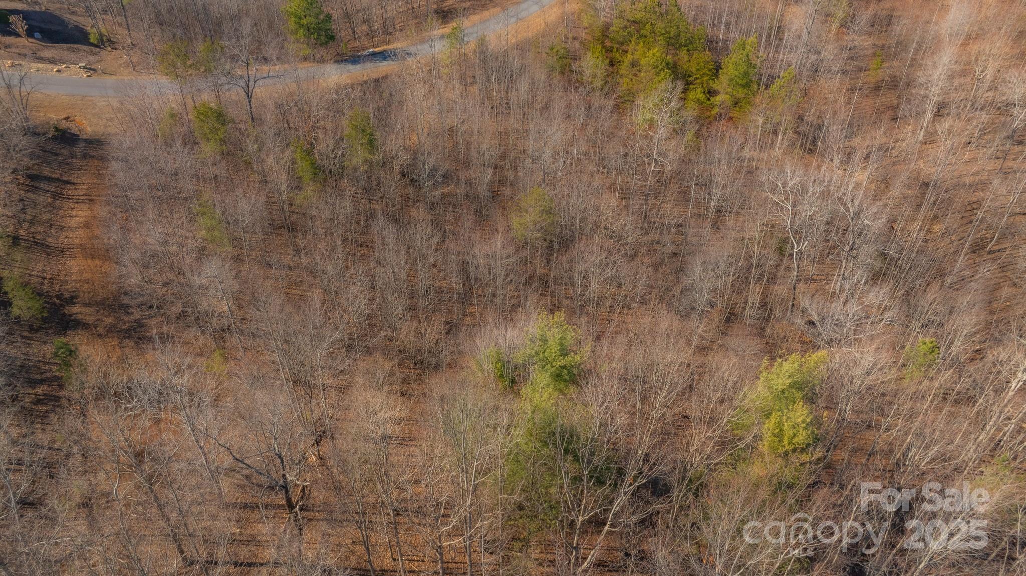 Tbd Coal Pit Mountain Road Property Photo 8