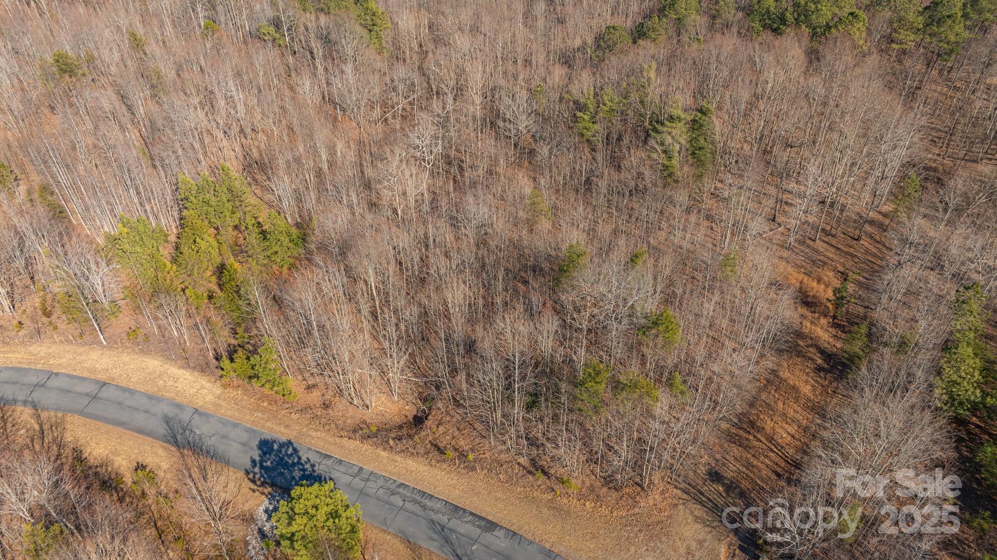 Tbd Coal Pit Mountain Road Property Photo 9
