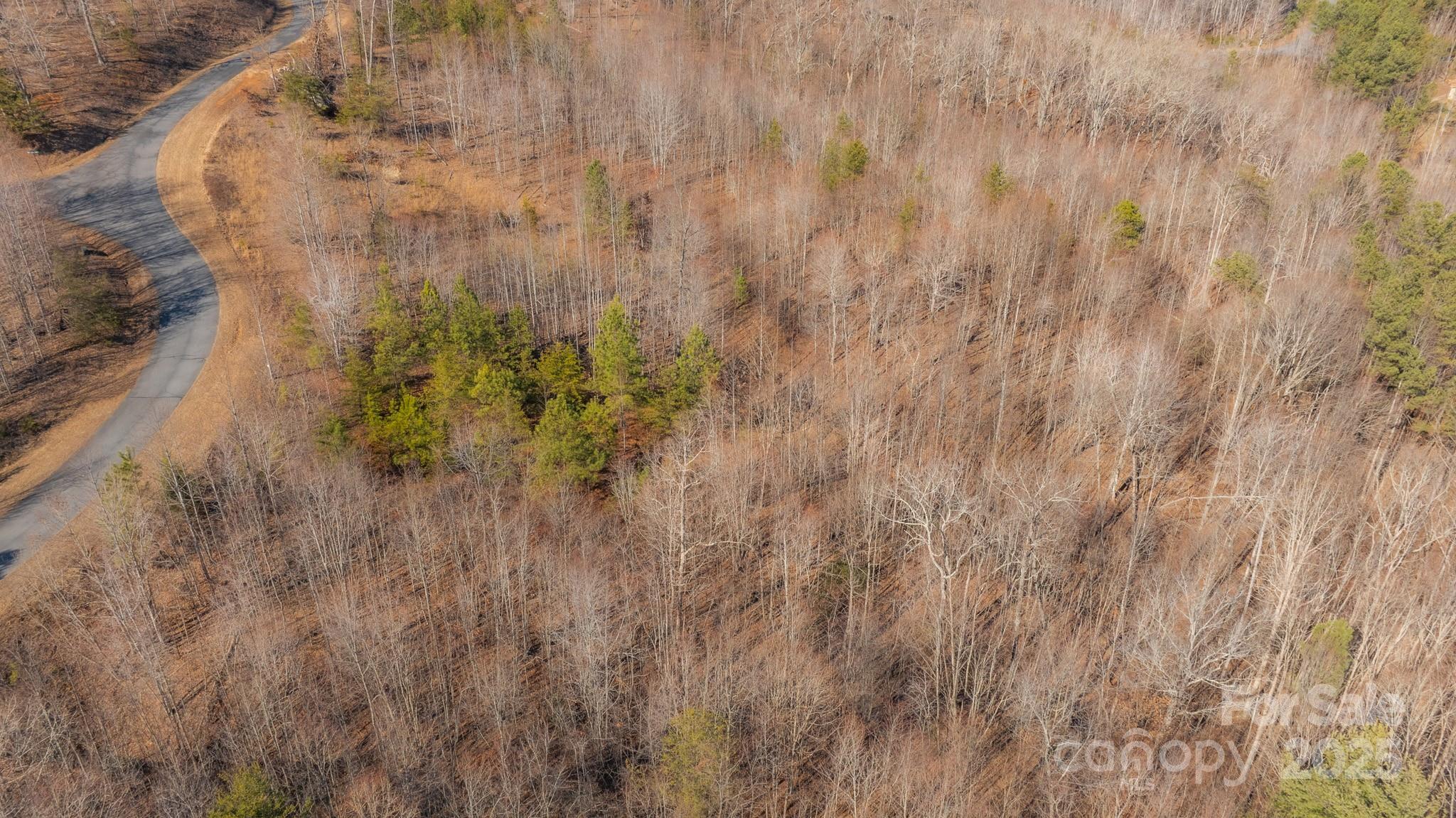 Tbd Coal Pit Mountain Road Property Photo 10