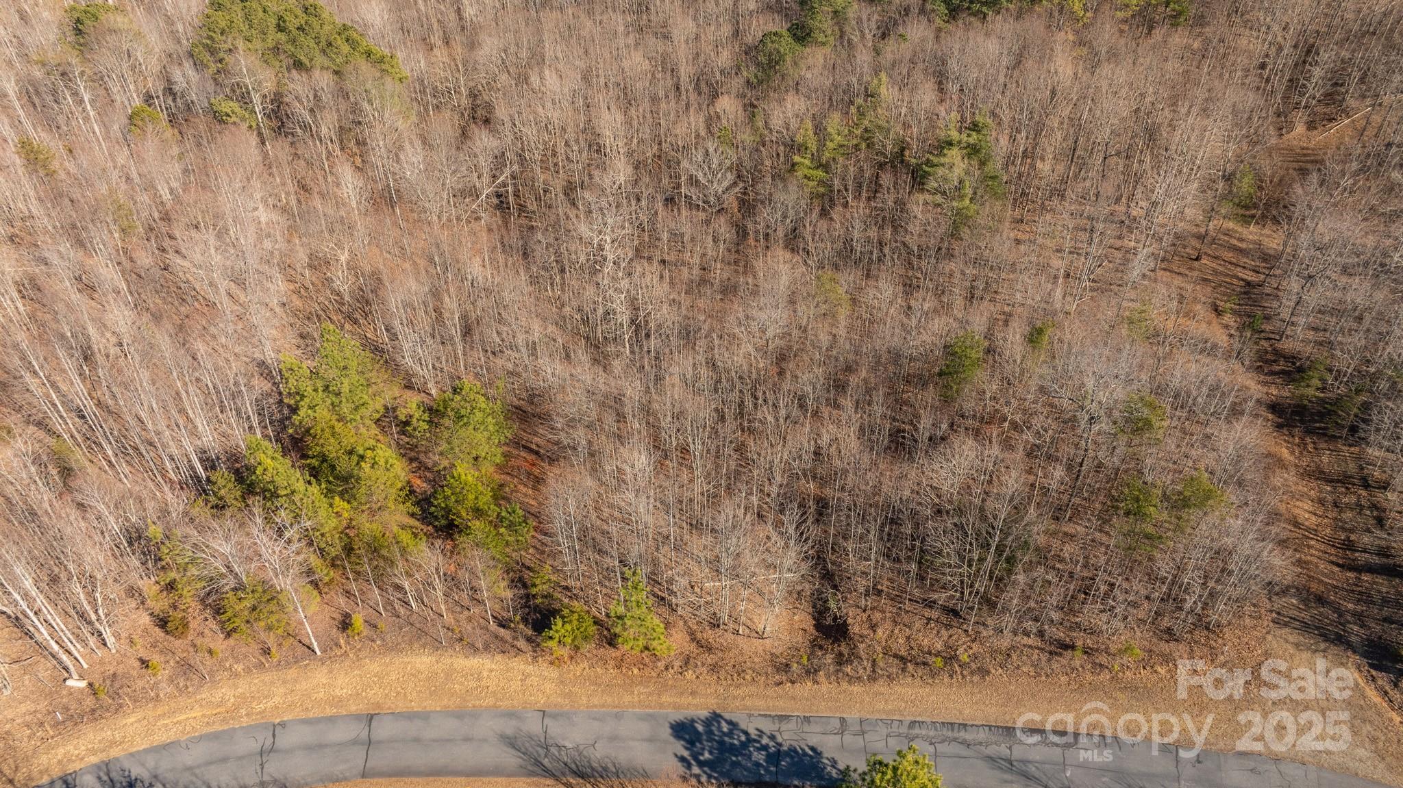 Tbd Coal Pit Mountain Road Property Photo 11