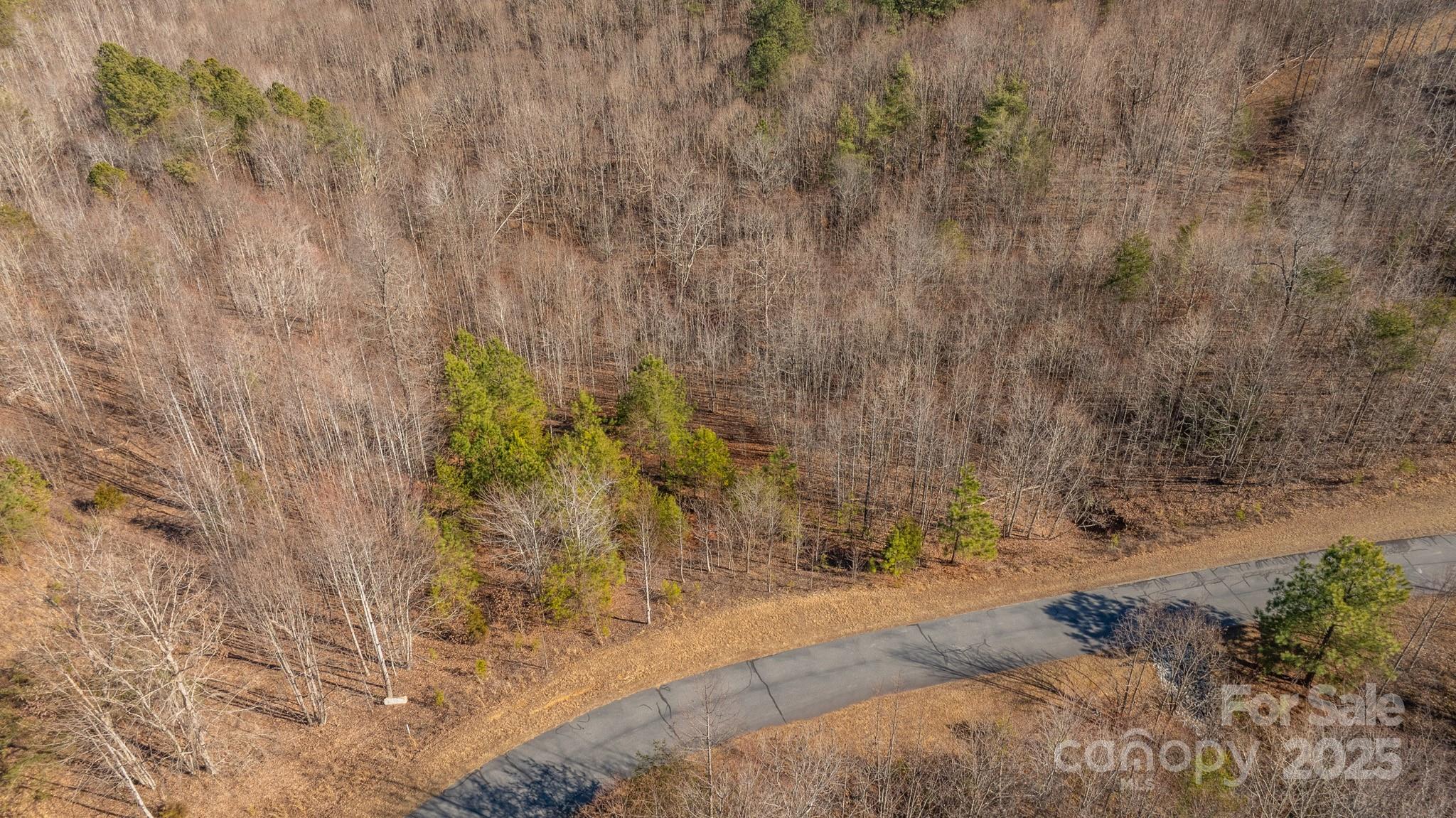 Tbd Coal Pit Mountain Road Property Photo 12