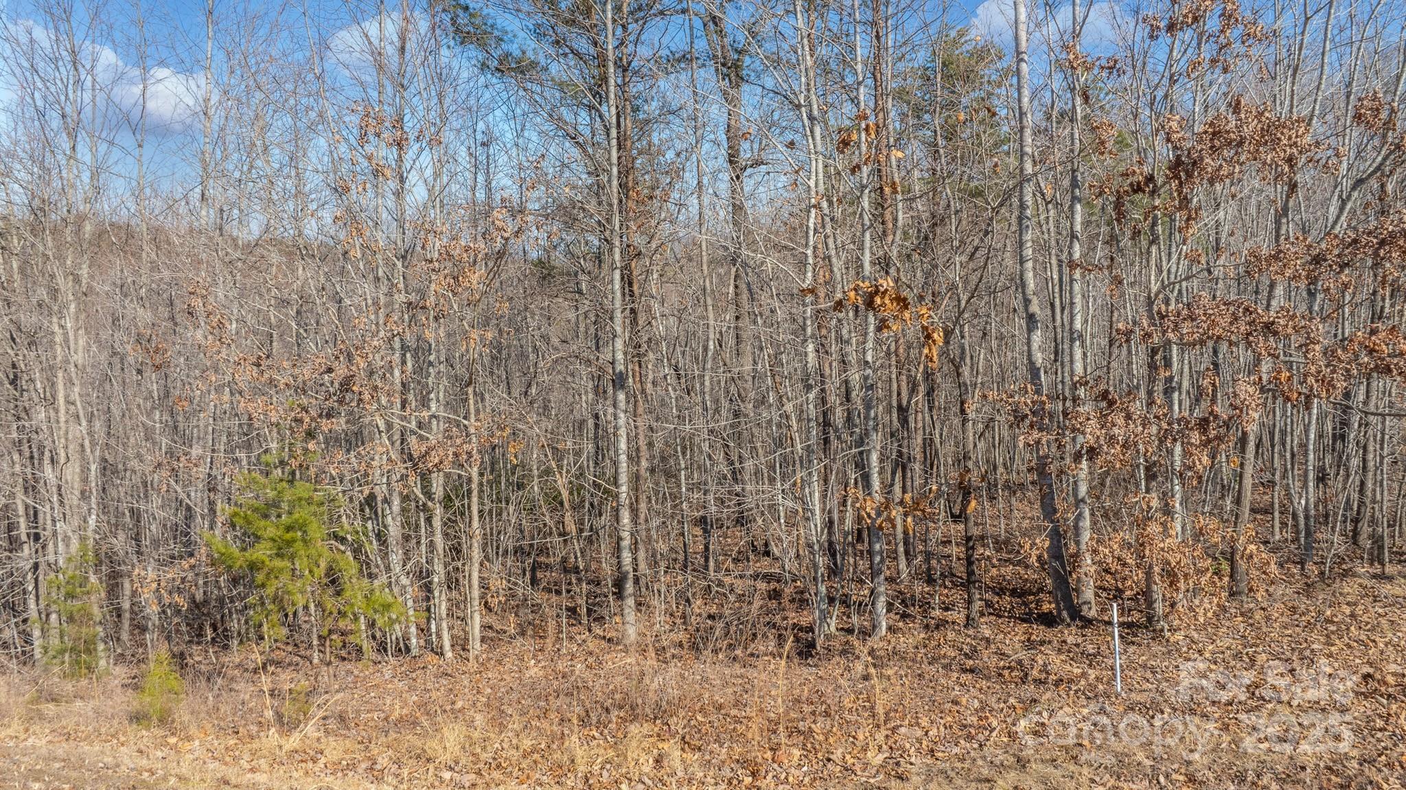 Tbd Coal Pit Mountain Road Property Photo 13