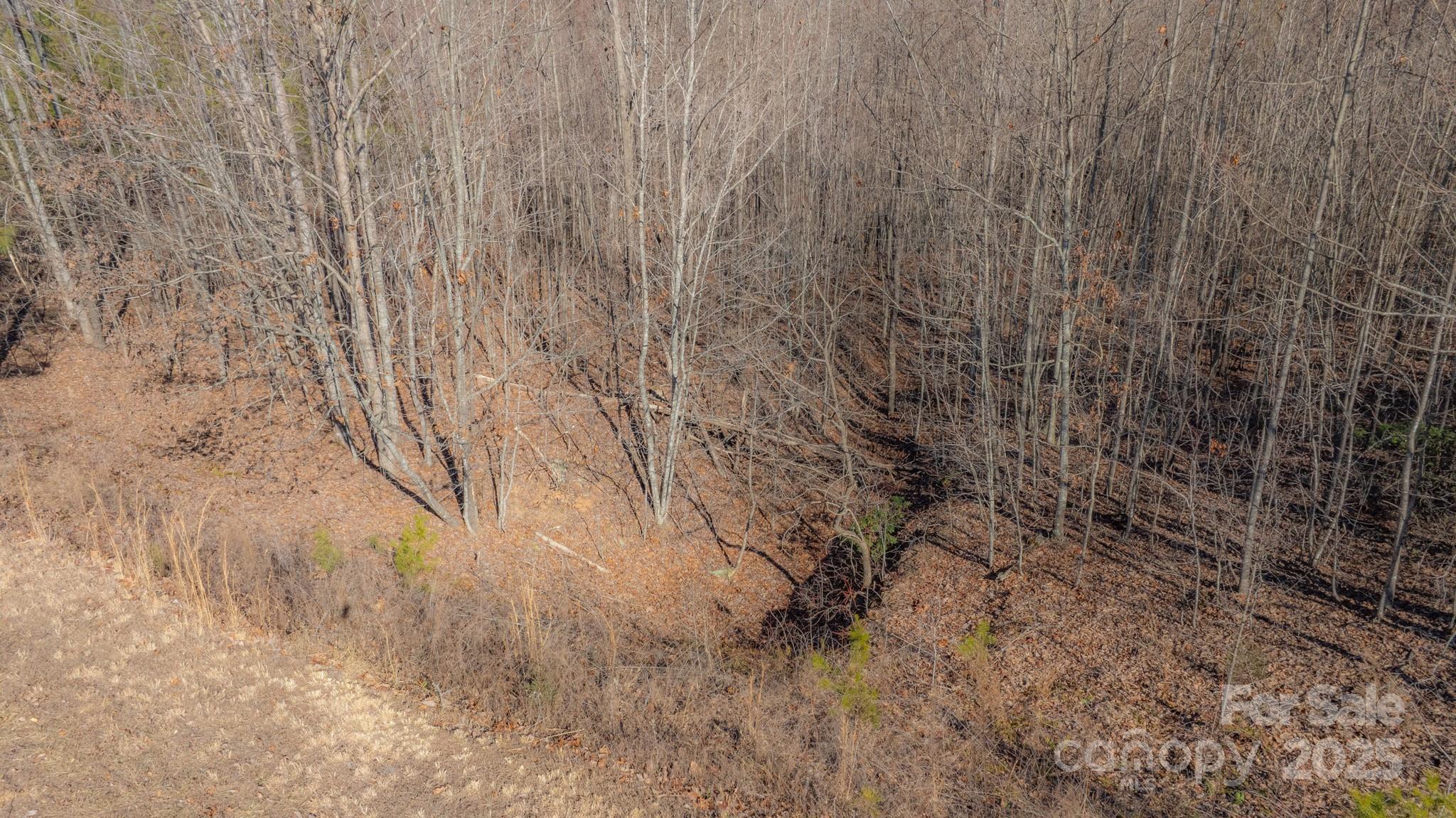 Tbd Coal Pit Mountain Road Property Photo 14