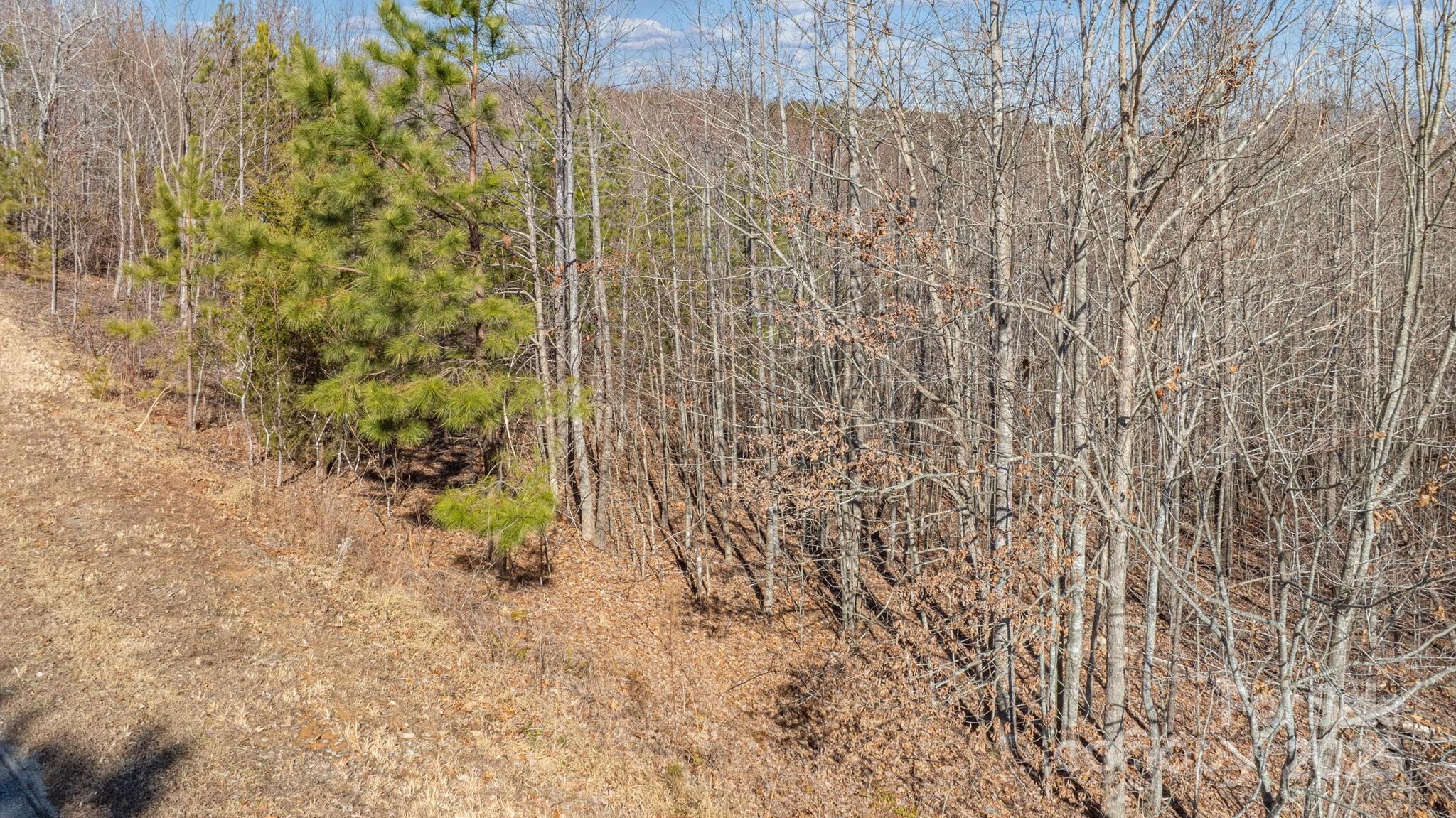 Tbd Coal Pit Mountain Road Property Photo 15