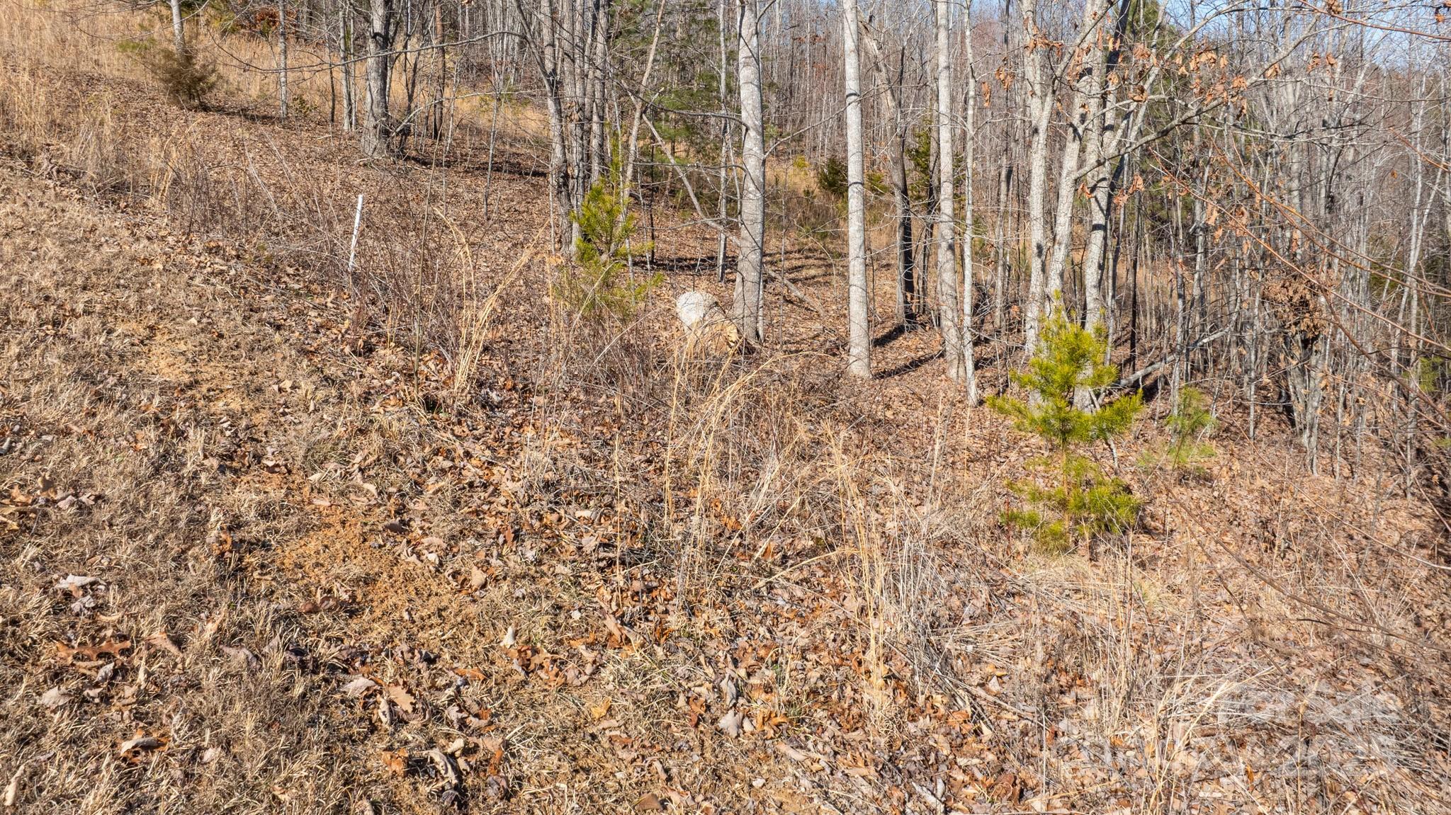 Tbd Coal Pit Mountain Road Property Photo 16
