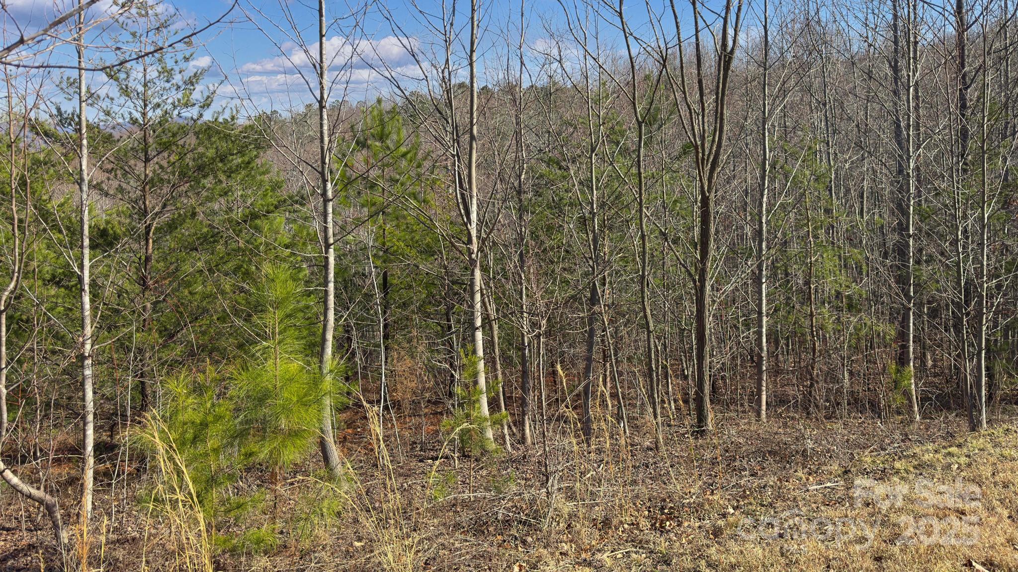 Tbd Coal Pit Mountain Road Property Photo 17