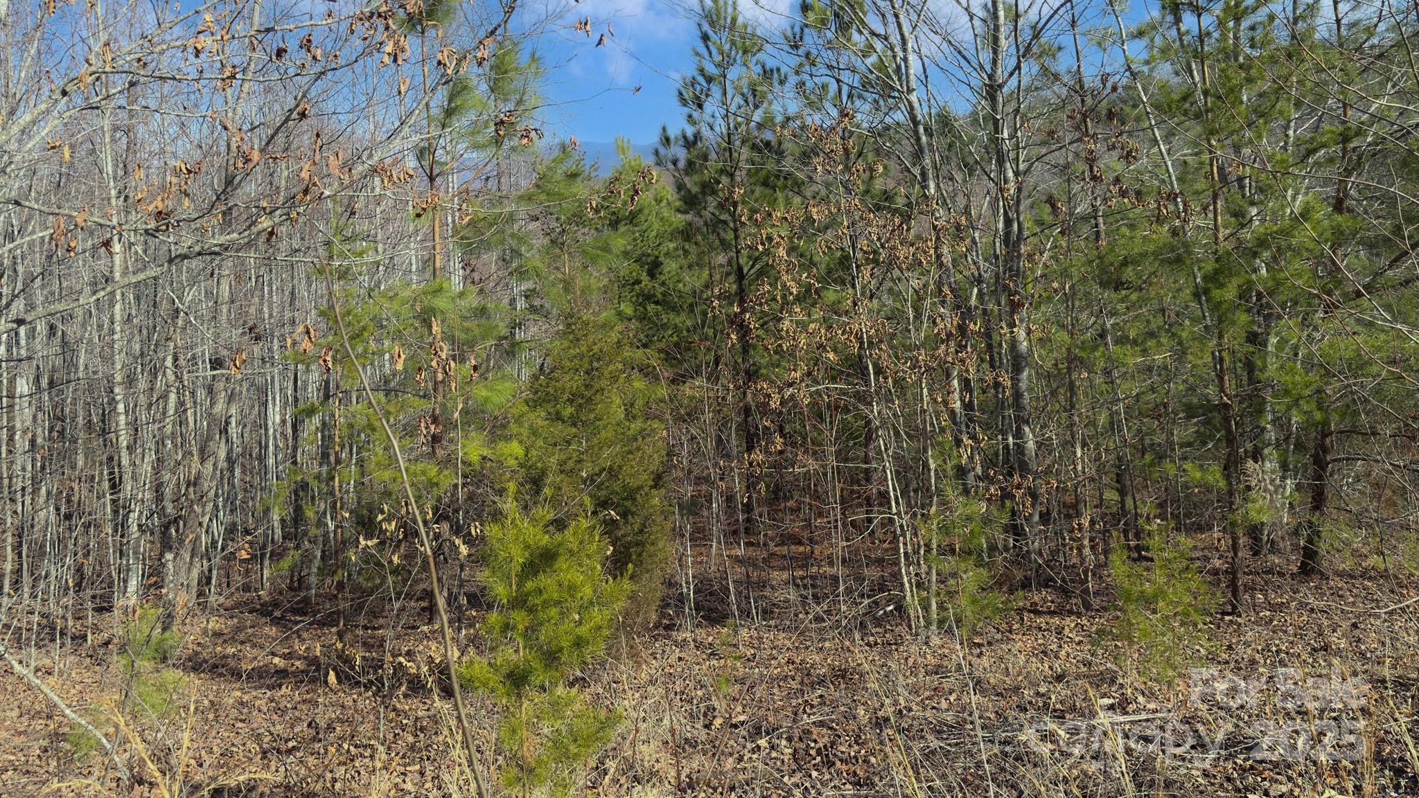Tbd Coal Pit Mountain Road Property Photo 18