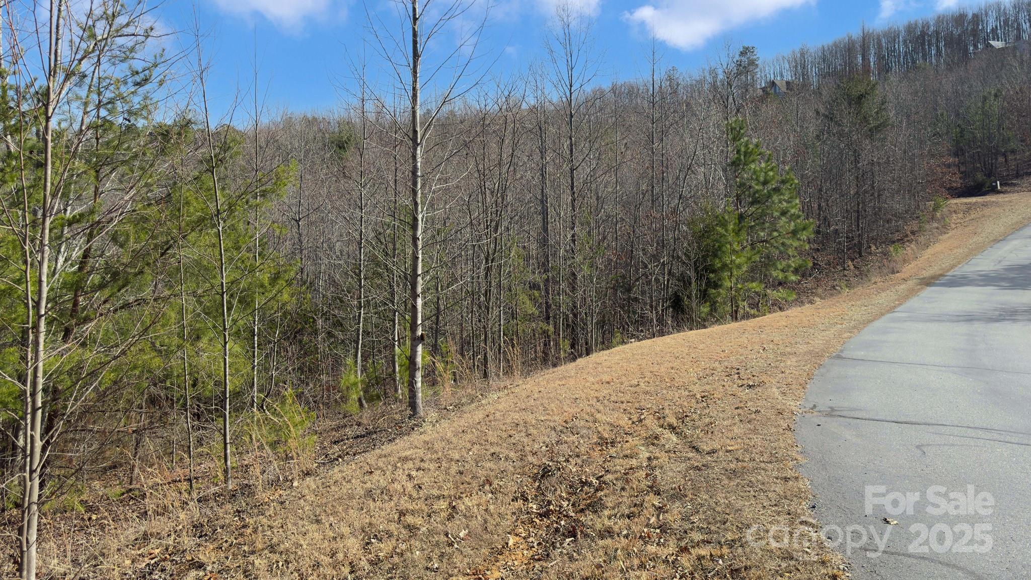 Tbd Coal Pit Mountain Road Property Photo 19