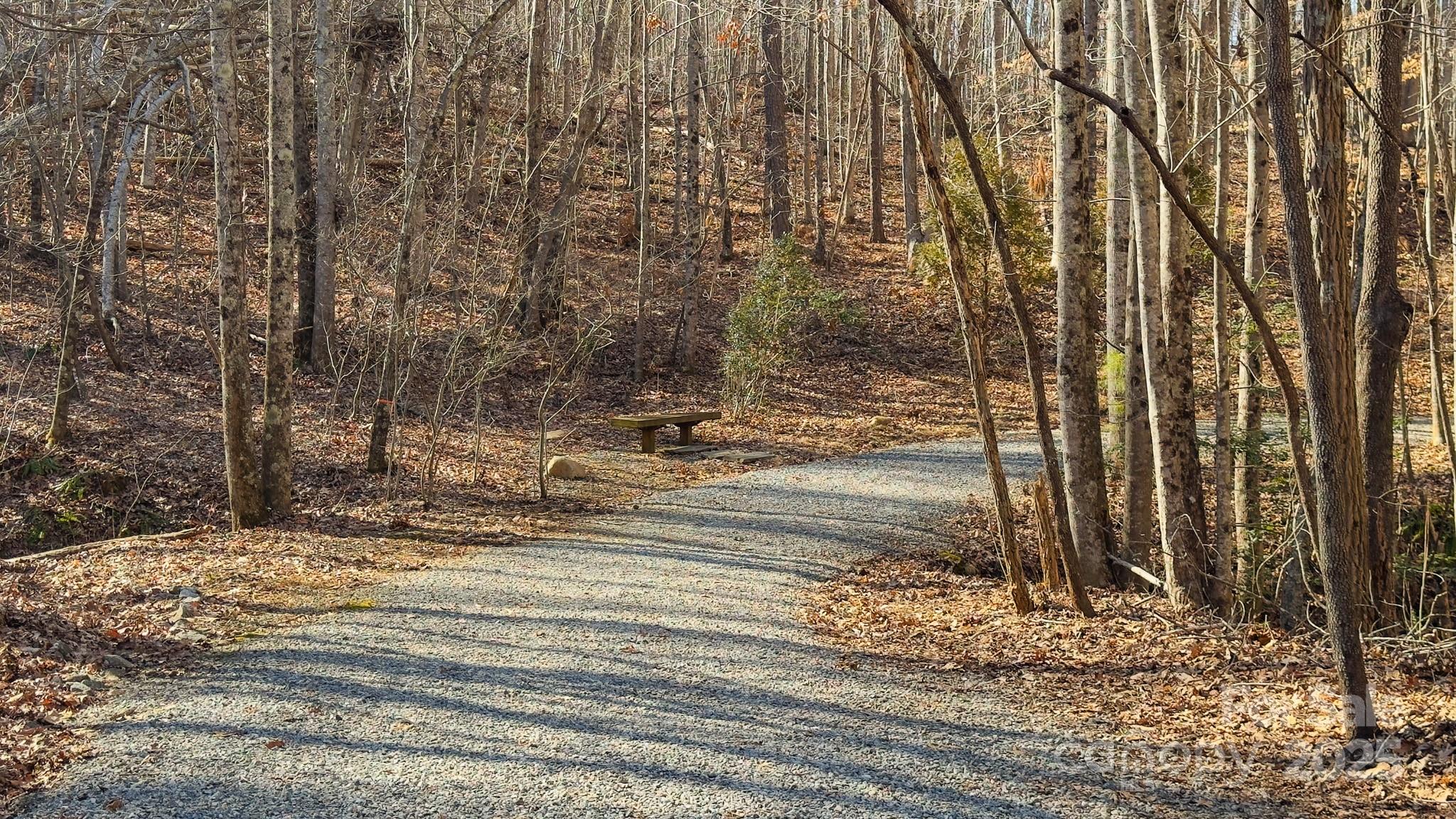 Tbd Coal Pit Mountain Road Property Photo 38
