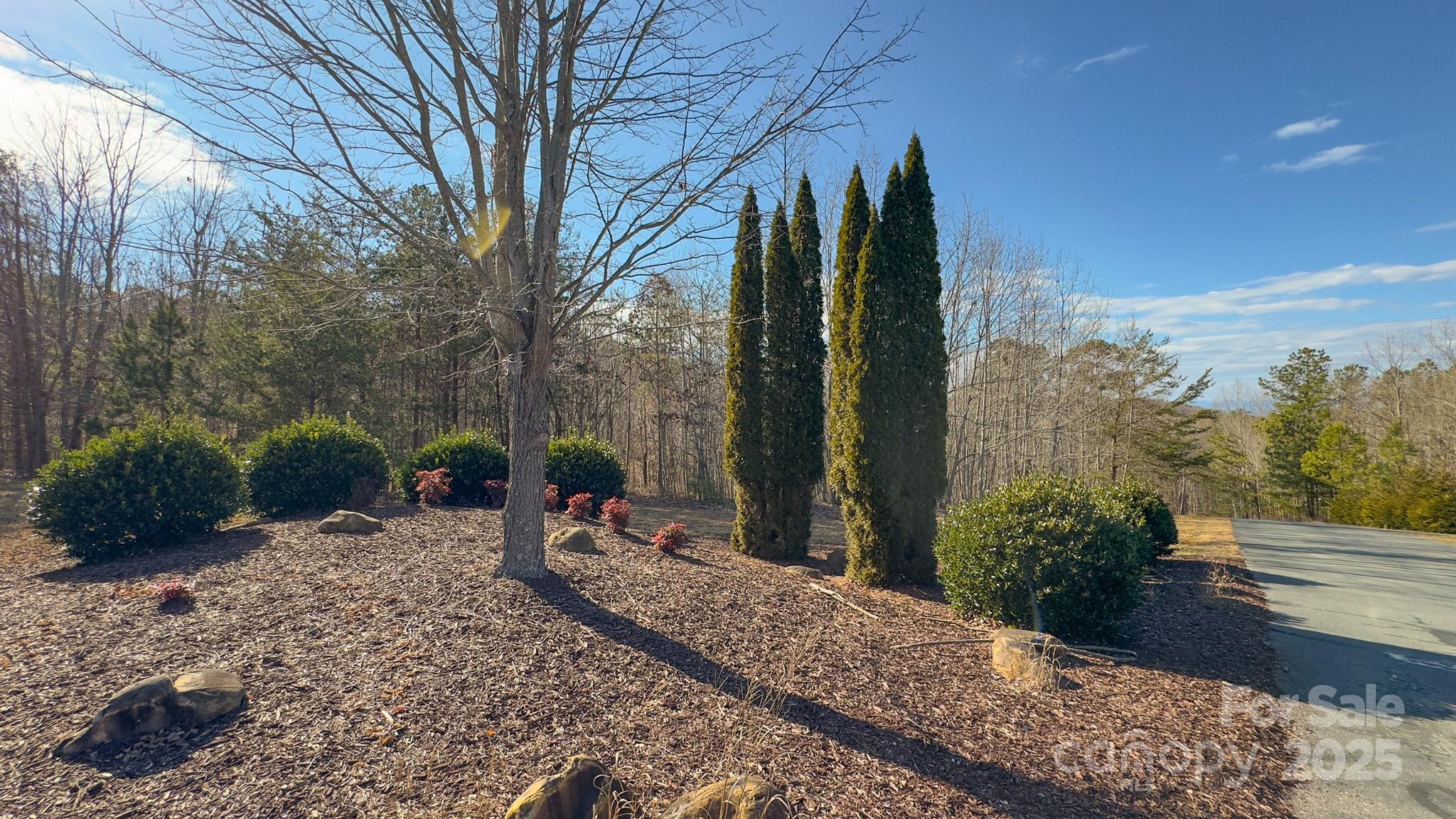 Tbd Coal Pit Mountain Road Property Photo 45