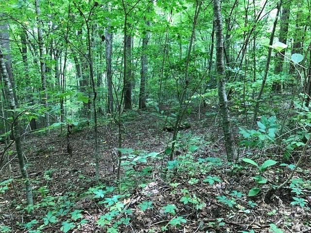 00 Red Oak Lane Lot #24 Property Photo 2
