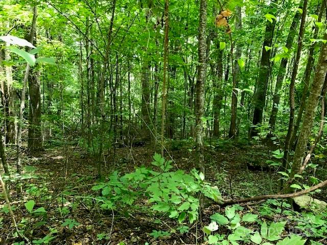 00 Red Oak Lane Lot #24 Property Photo 3