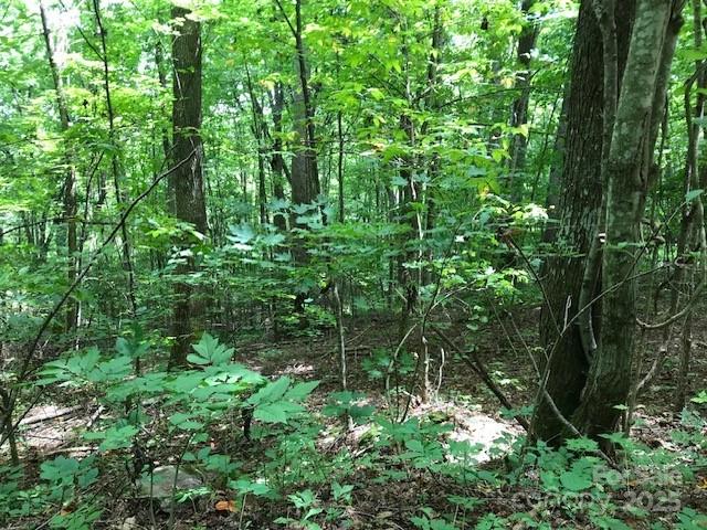 00 Red Oak Lane Lot #24 Property Photo 4