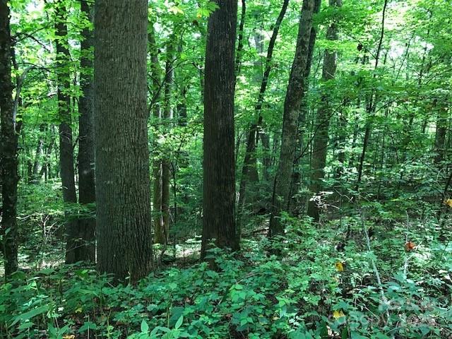 00 Red Oak Lane Lot #24 Property Photo 6