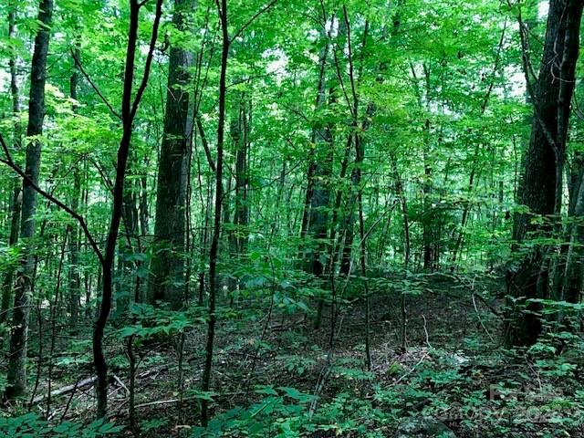 00 Red Oak Lane Lot #24 Property Photo 7