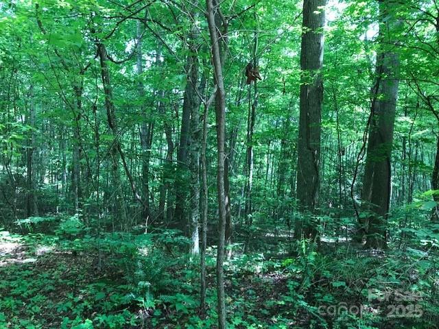 00 Red Oak Lane Lot #24 Property Photo 8