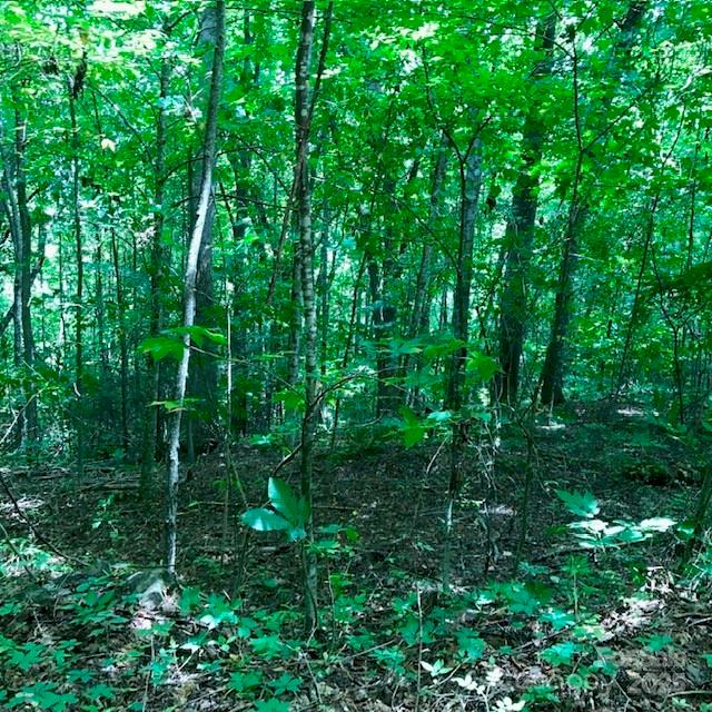 00 Red Oak Lane Lot #24 Property Photo 9