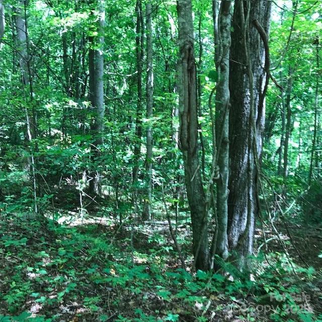 00 Red Oak Lane Lot #24 Property Photo 10