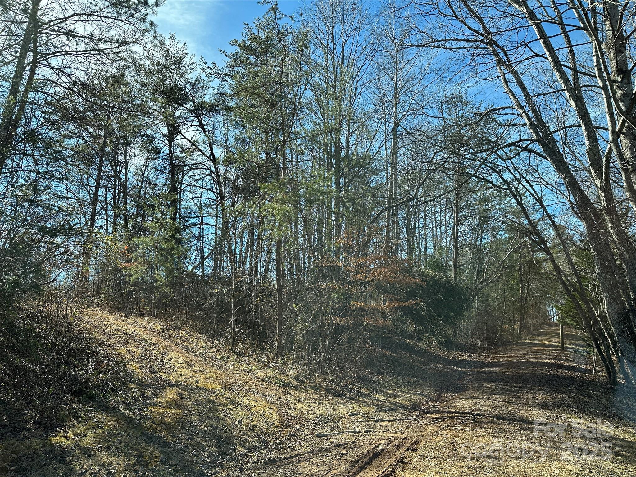 Tract 2 Off Timber Road Property Photo