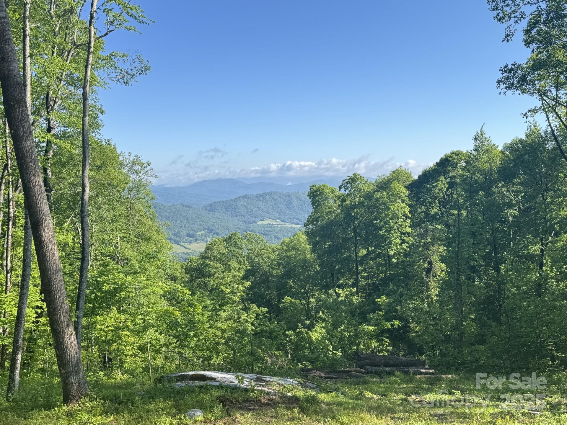 0000 West Garden Trail Lot 65 Property Photo 1
