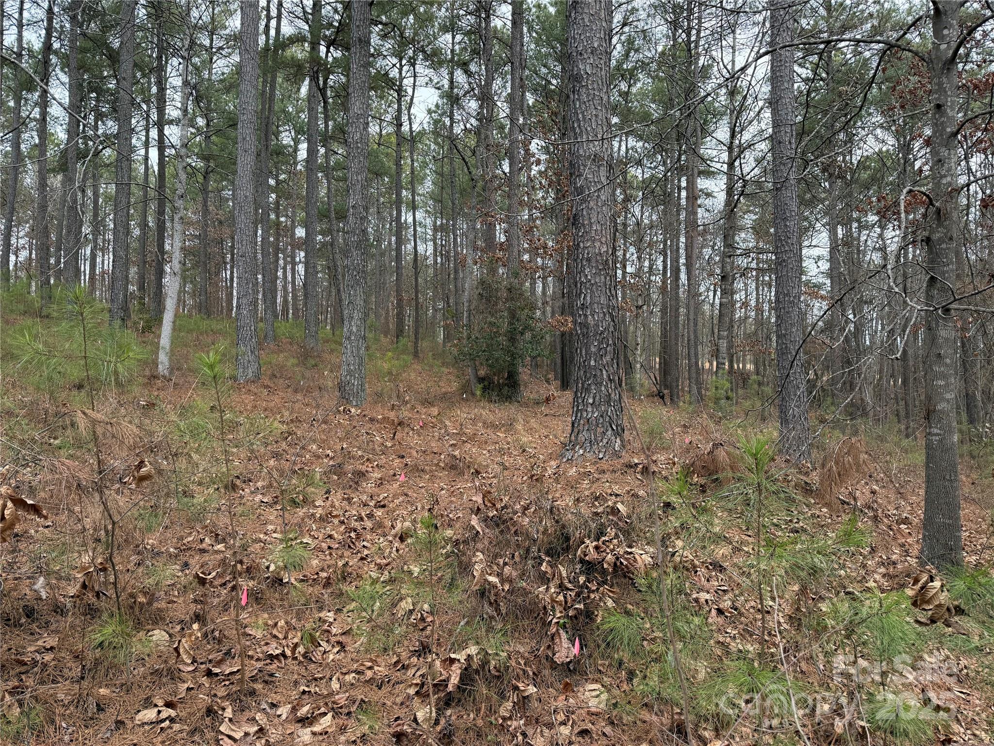 5501 Bridgewater Drive Property Photo