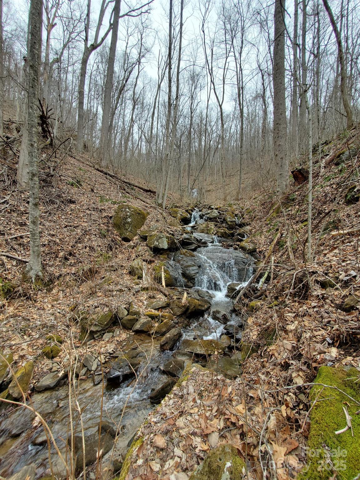 0000 Buffalo Ridge Property Photo 8