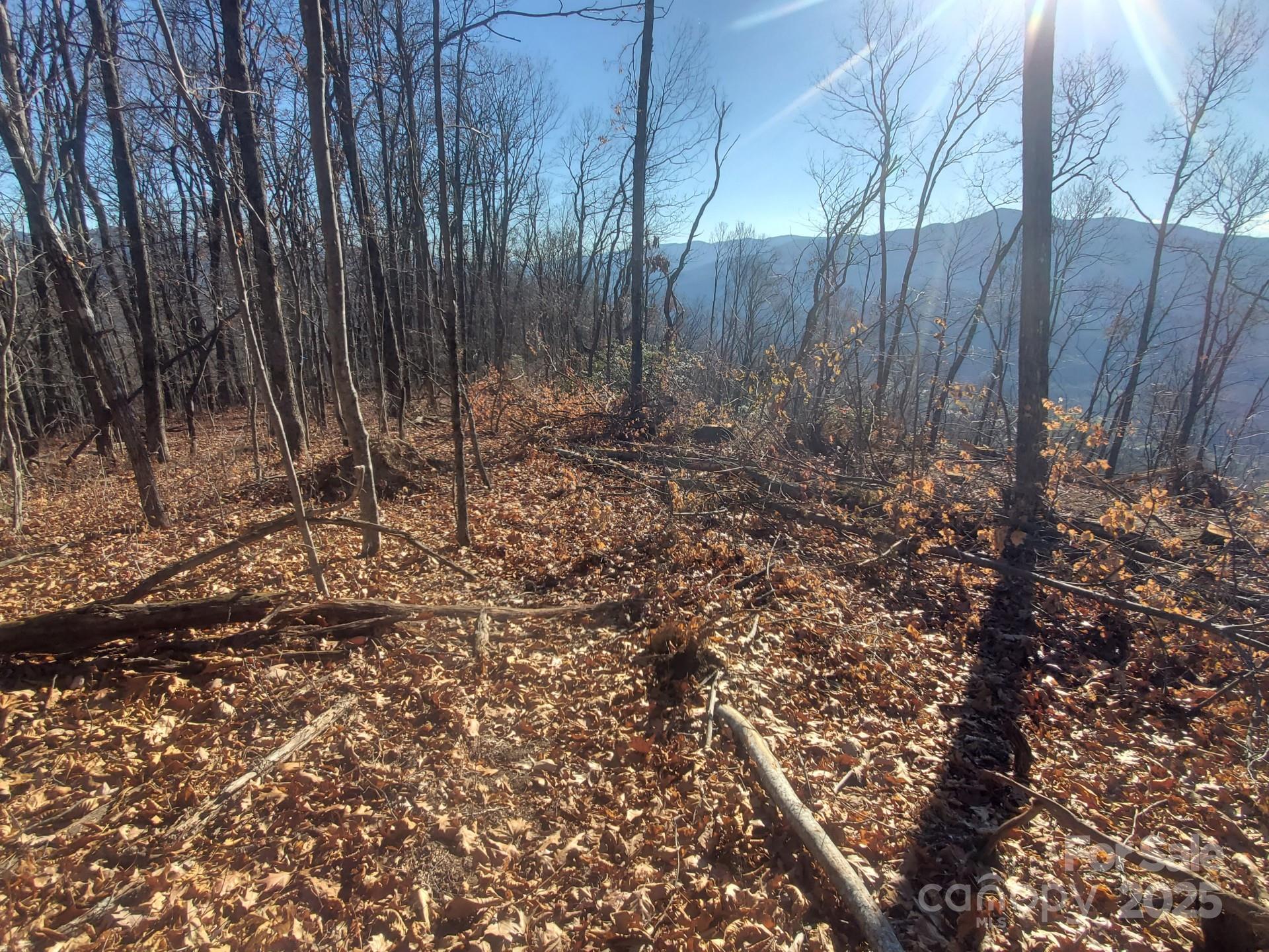 0000 Buffalo Ridge Property Photo 14