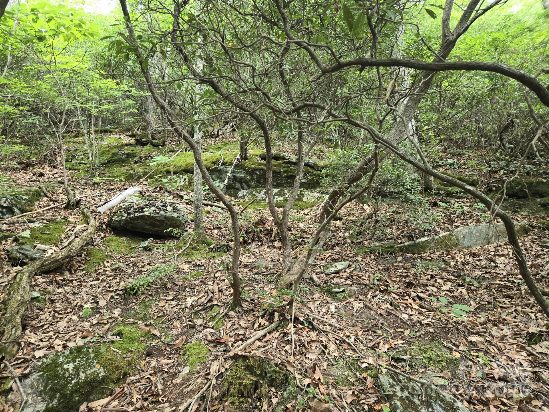 0000 Buffalo Ridge Property Photo 23