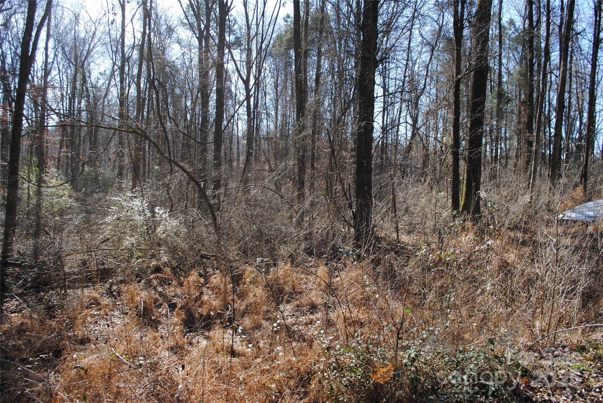 601 S Boundary Street Property Photo 2
