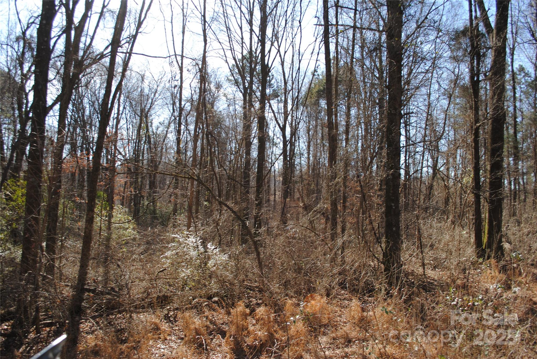 601 S Boundary Street Property Photo 6