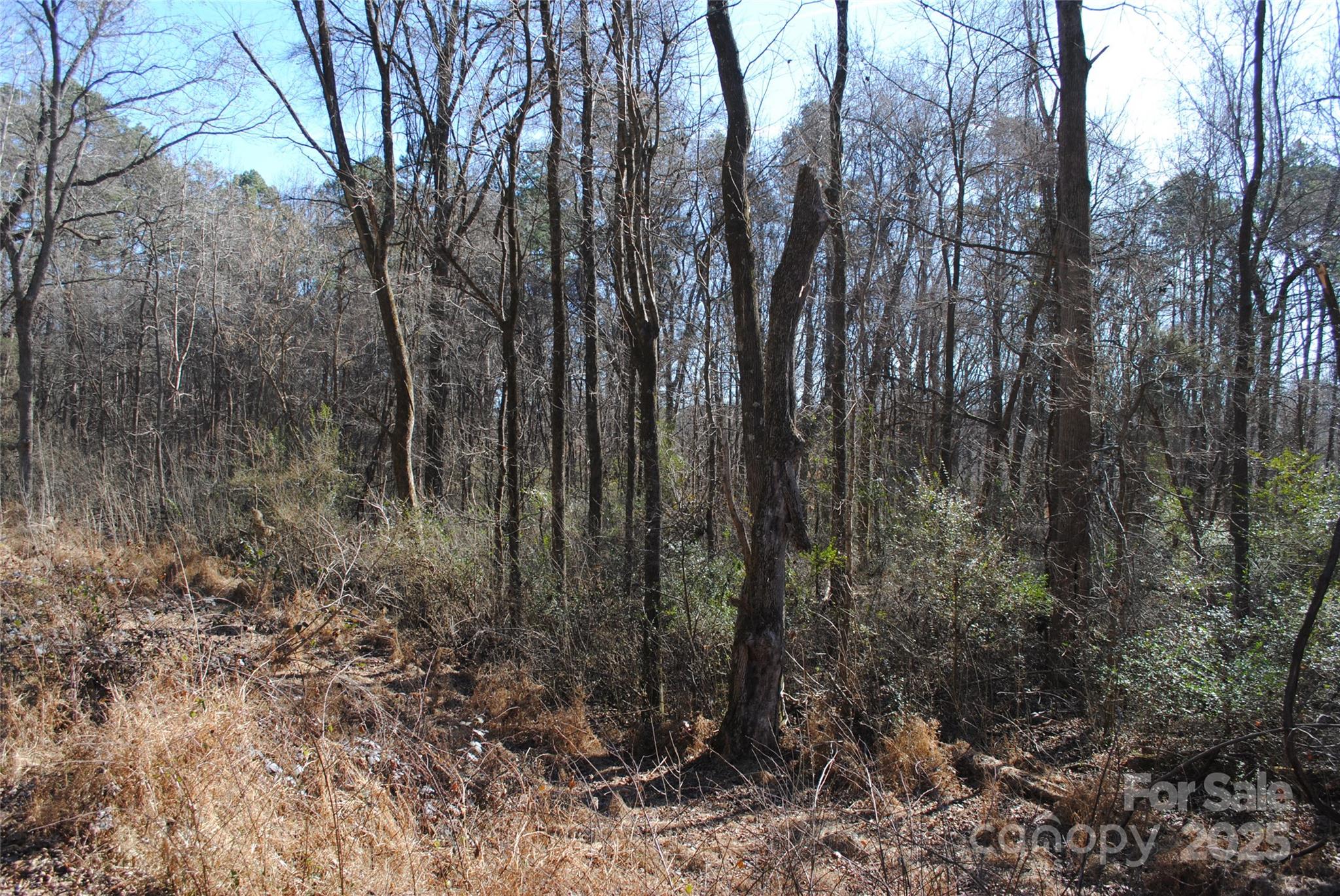 601 S Boundary Street Property Photo 7