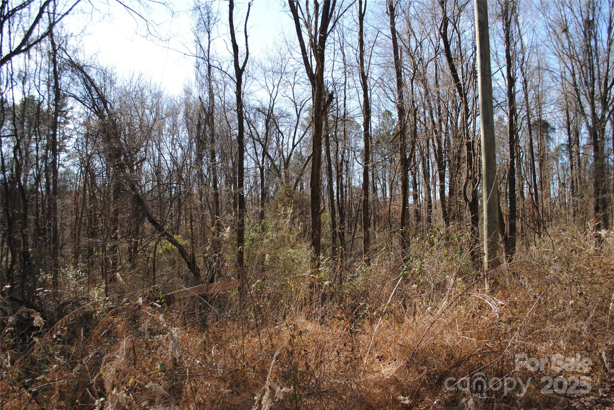 601 S Boundary Street Property Photo 8