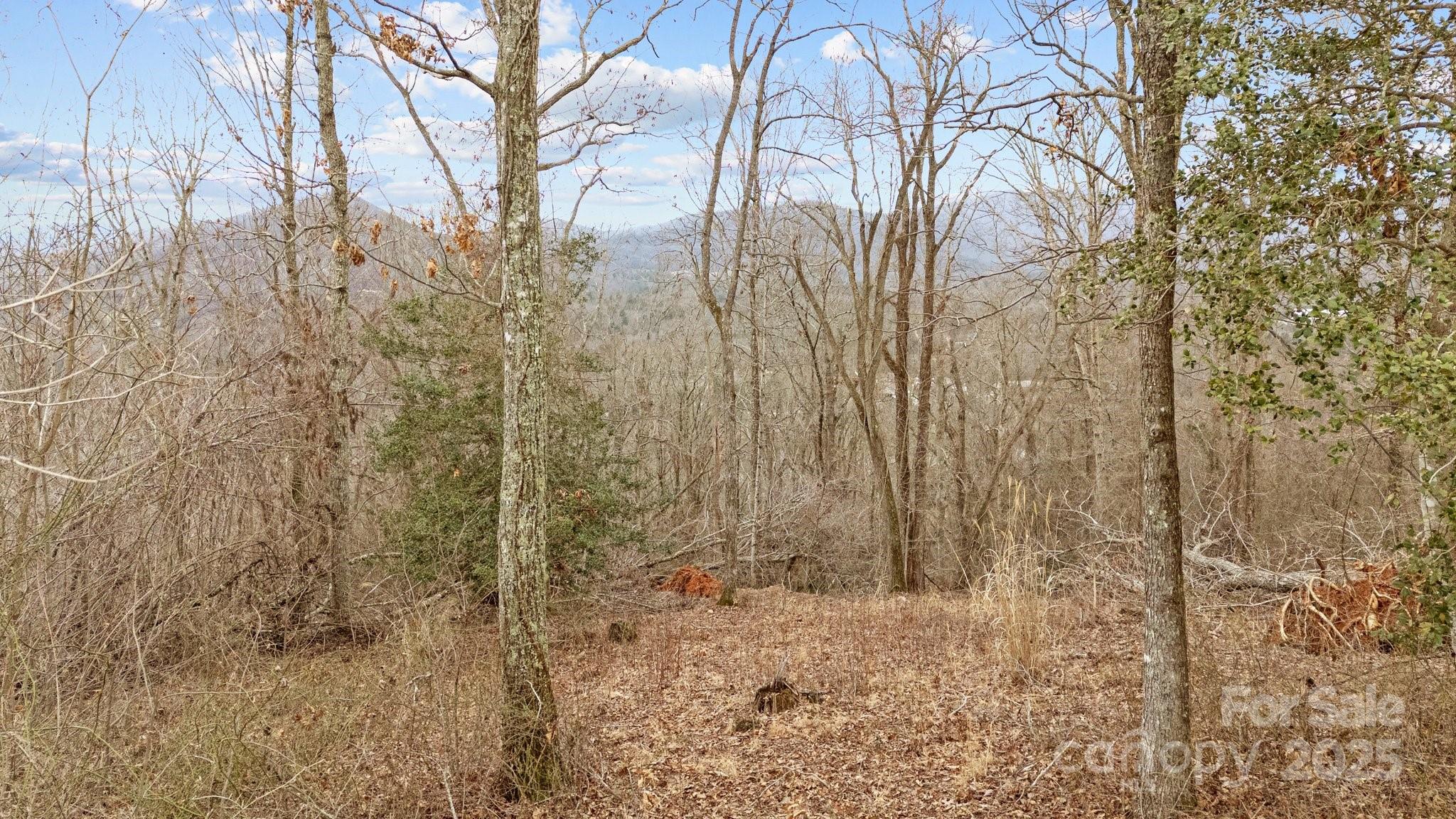 52 Arabella Lane Property Photo 13