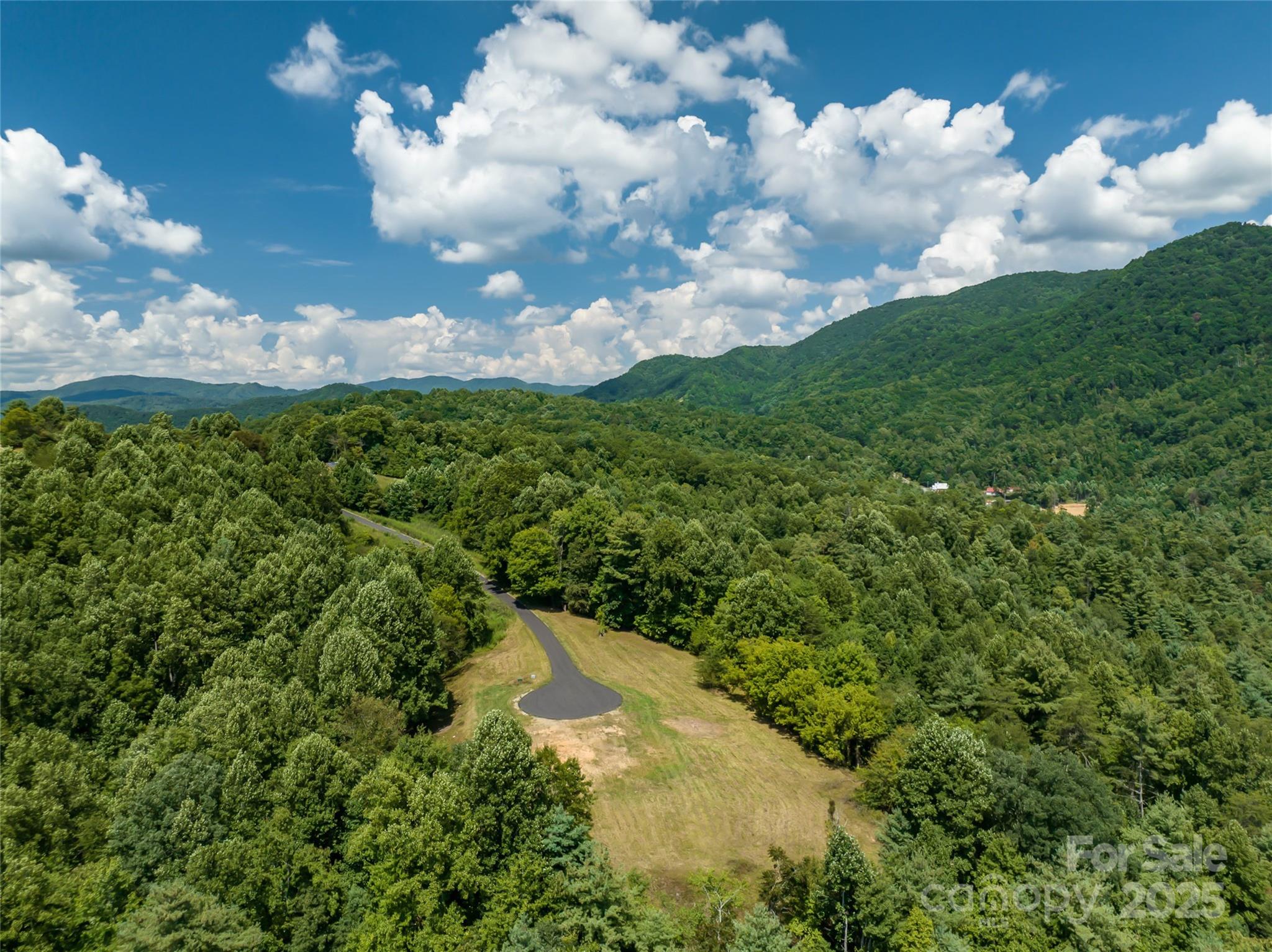 101 Red Maple Run 1 Property Photo 3