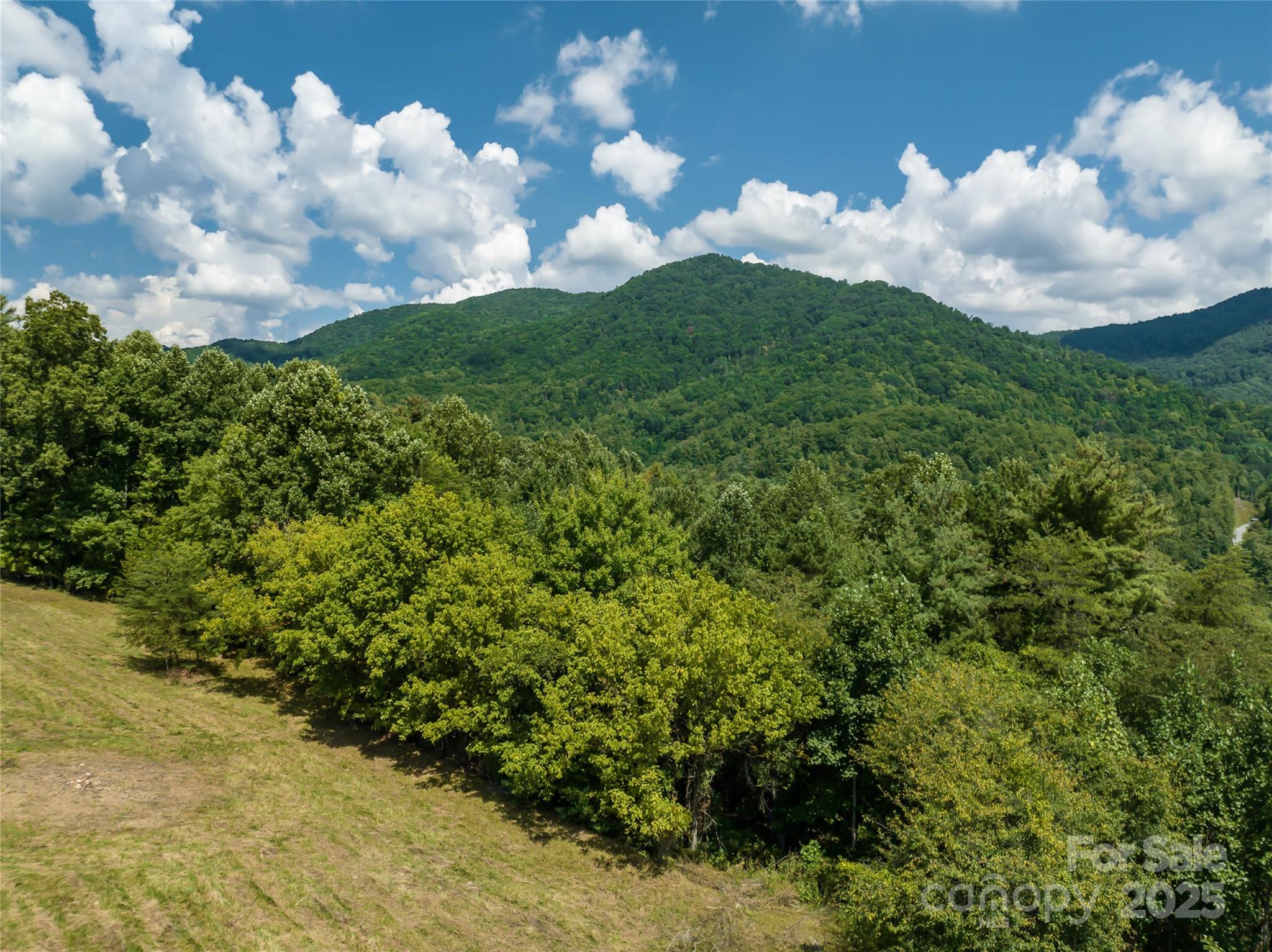 101 Red Maple Run 1 Property Photo 39