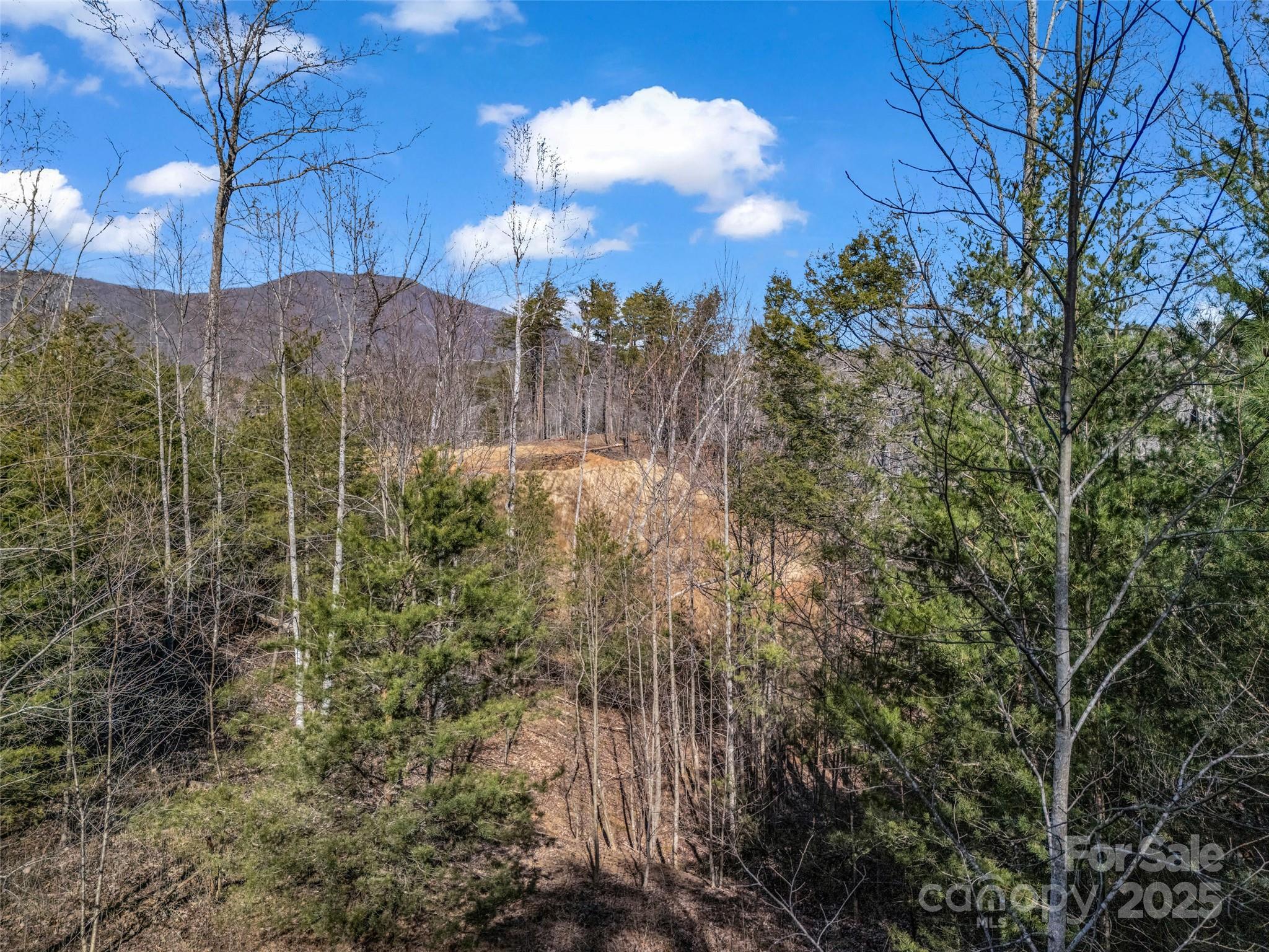 2002 Deep Gap Farm Road Property Photo 24