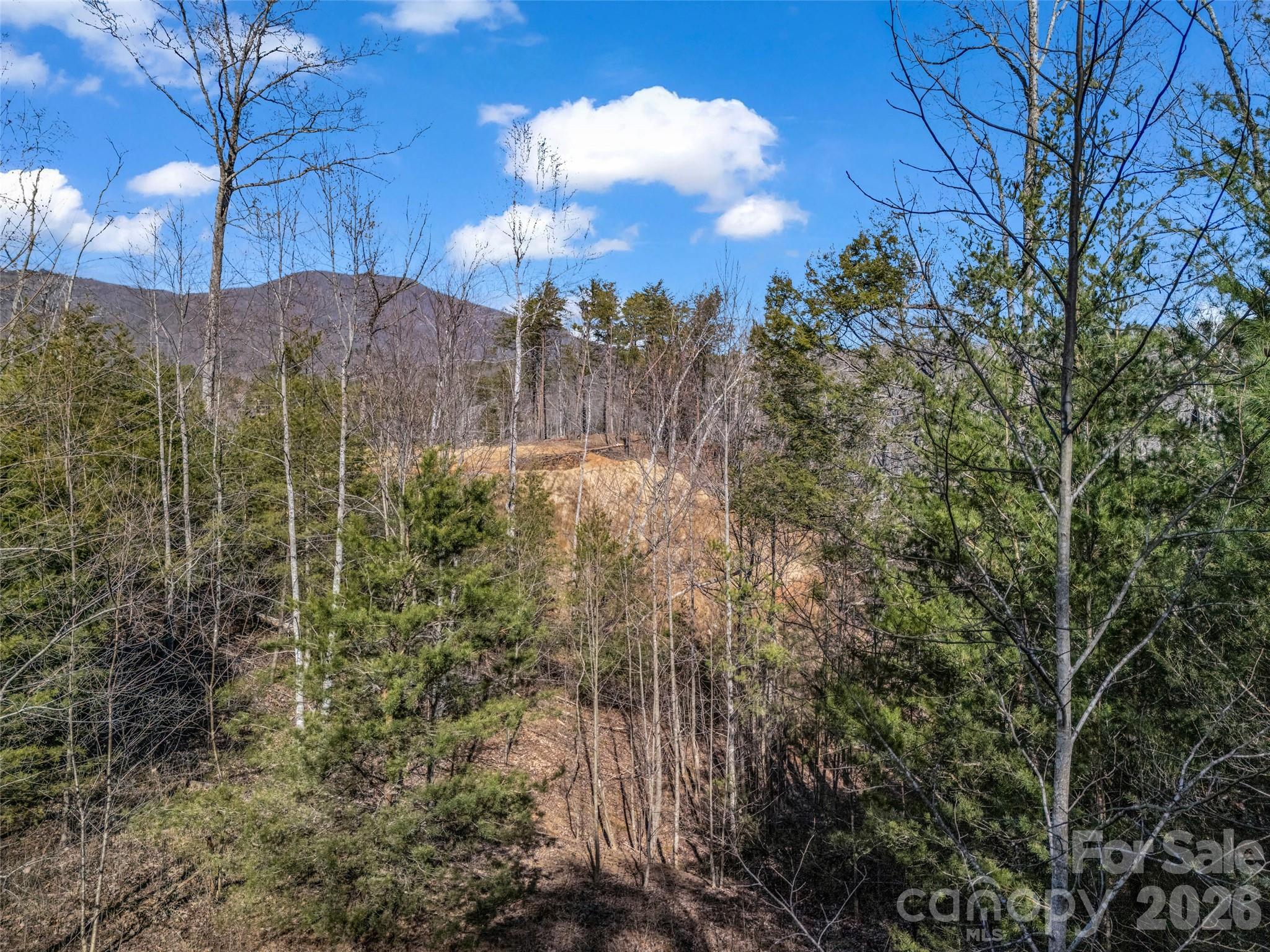 2002 Deep Gap Farm Road Property Photo 24