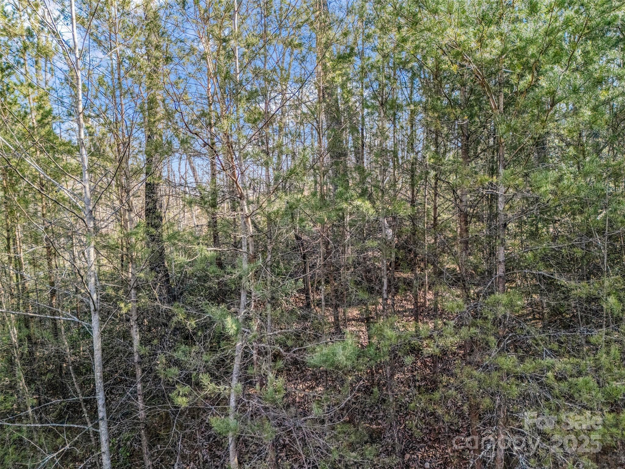 2002 Deep Gap Farm Road Property Photo 25