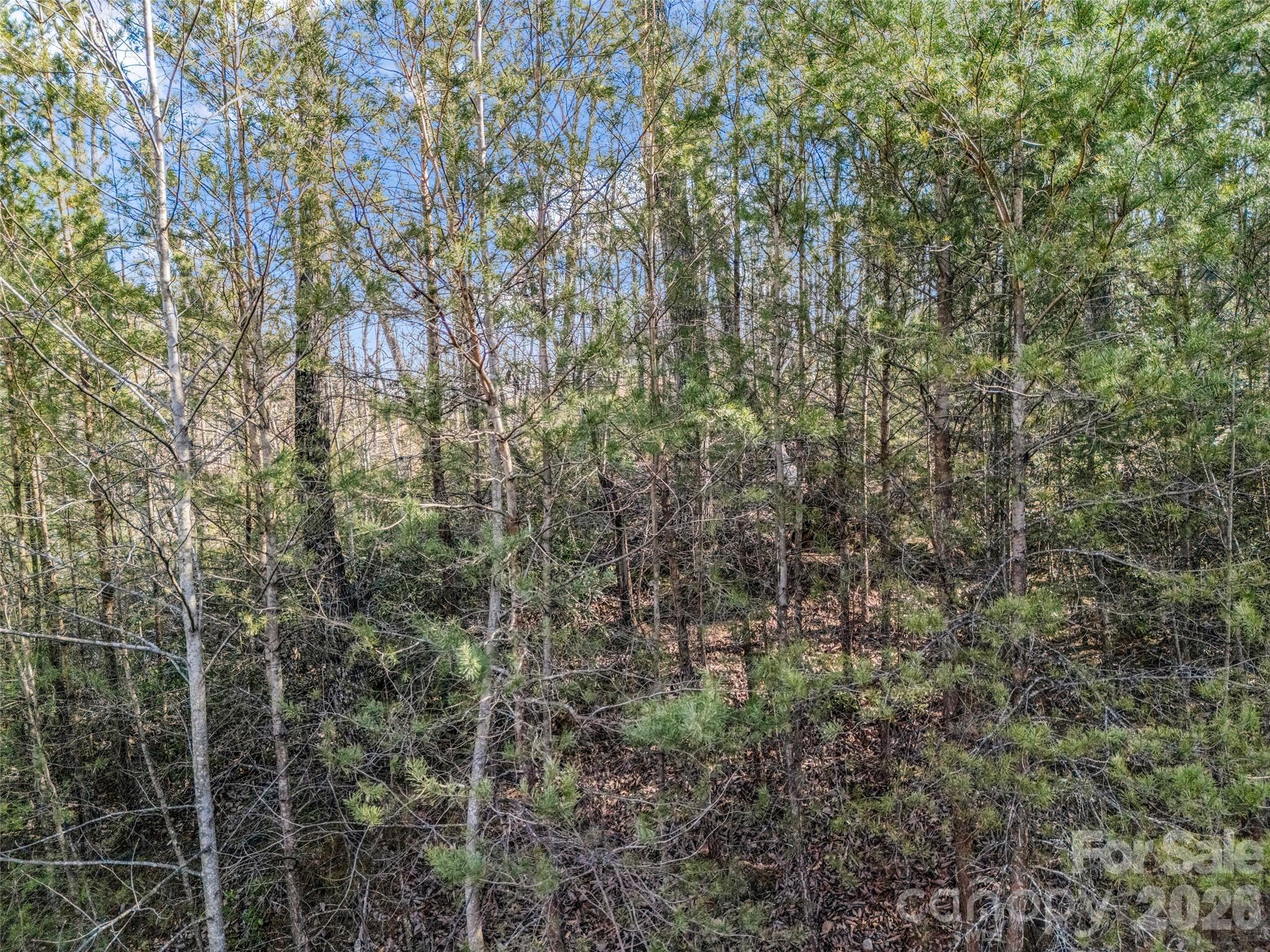 2002 Deep Gap Farm Road Property Photo 25