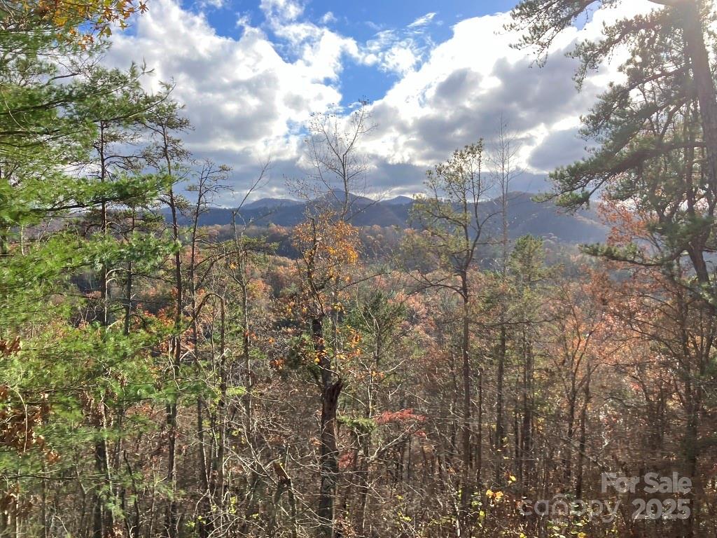 Lot 5 Osprey Mountain Way 5 Property Photo